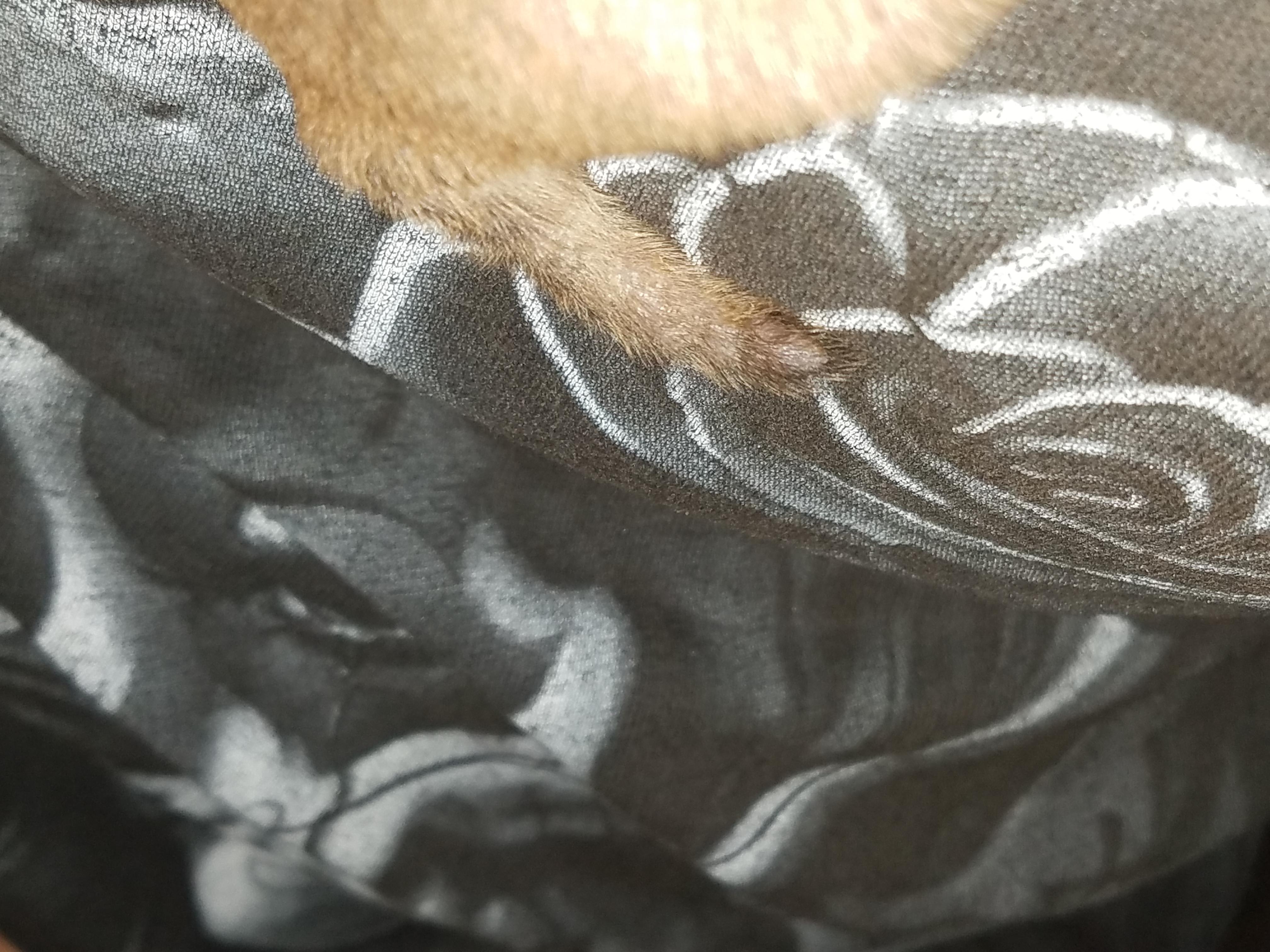 Question details sensitive content