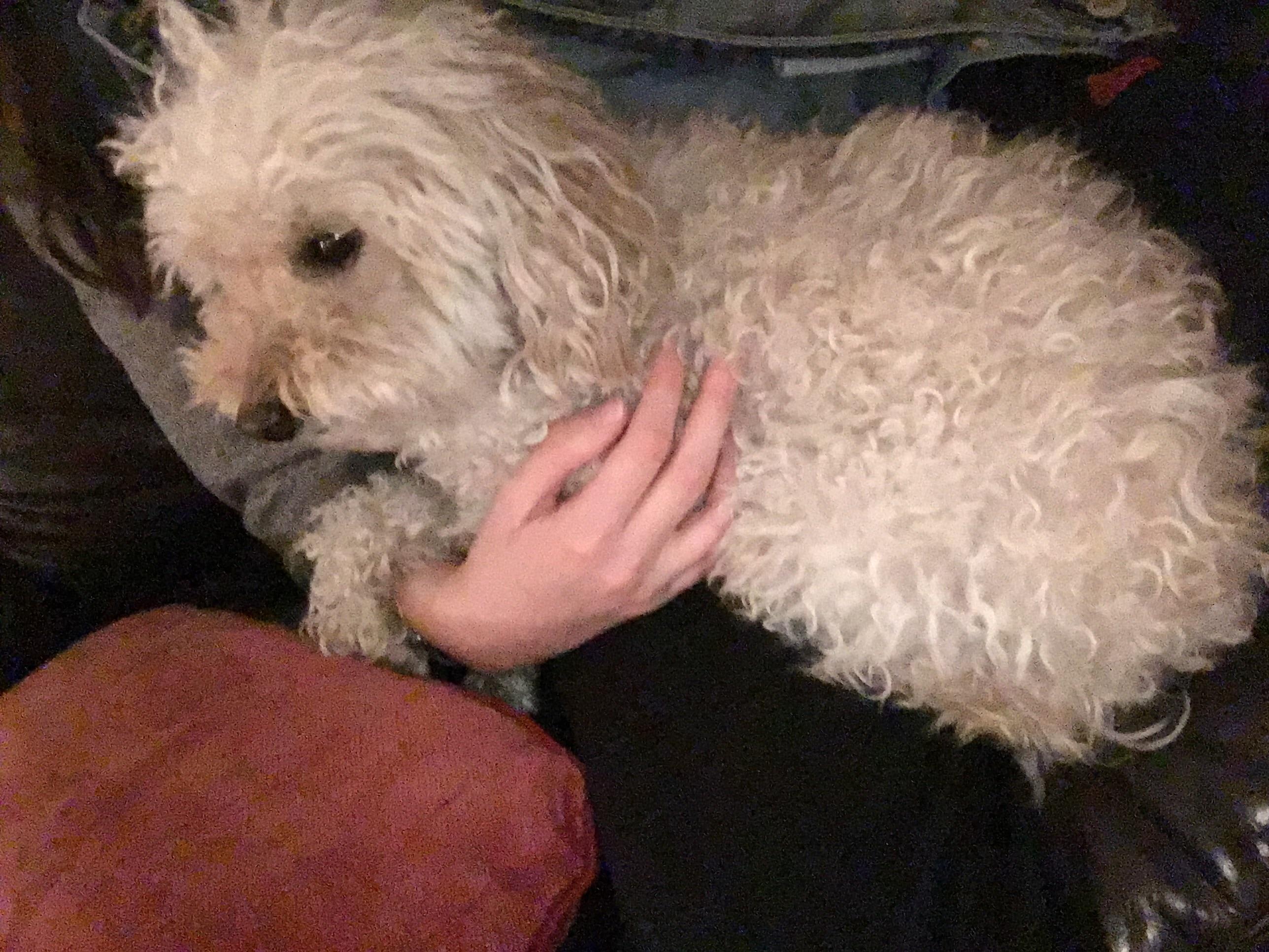 Question details sensitive content