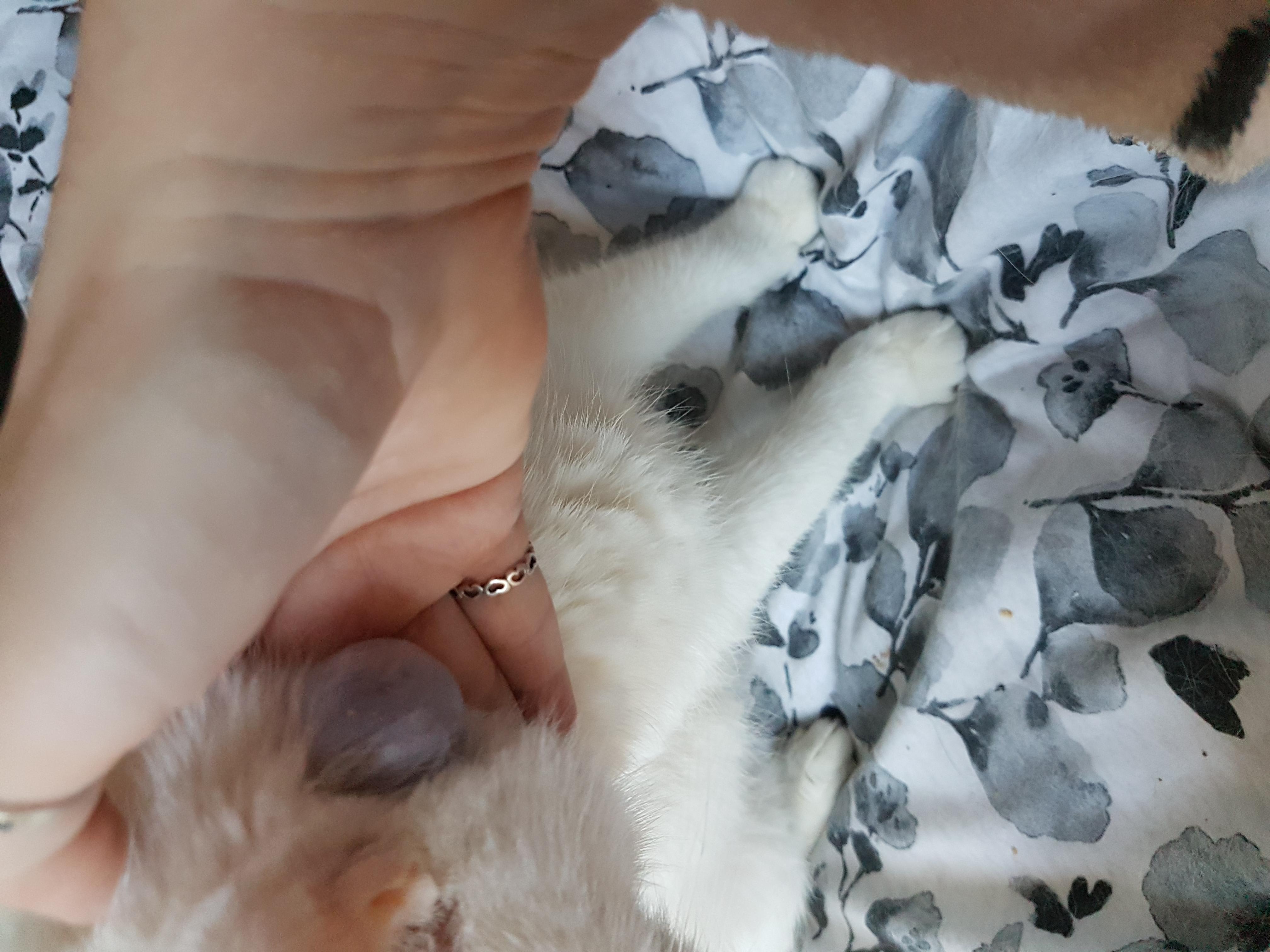 Question details sensitive content