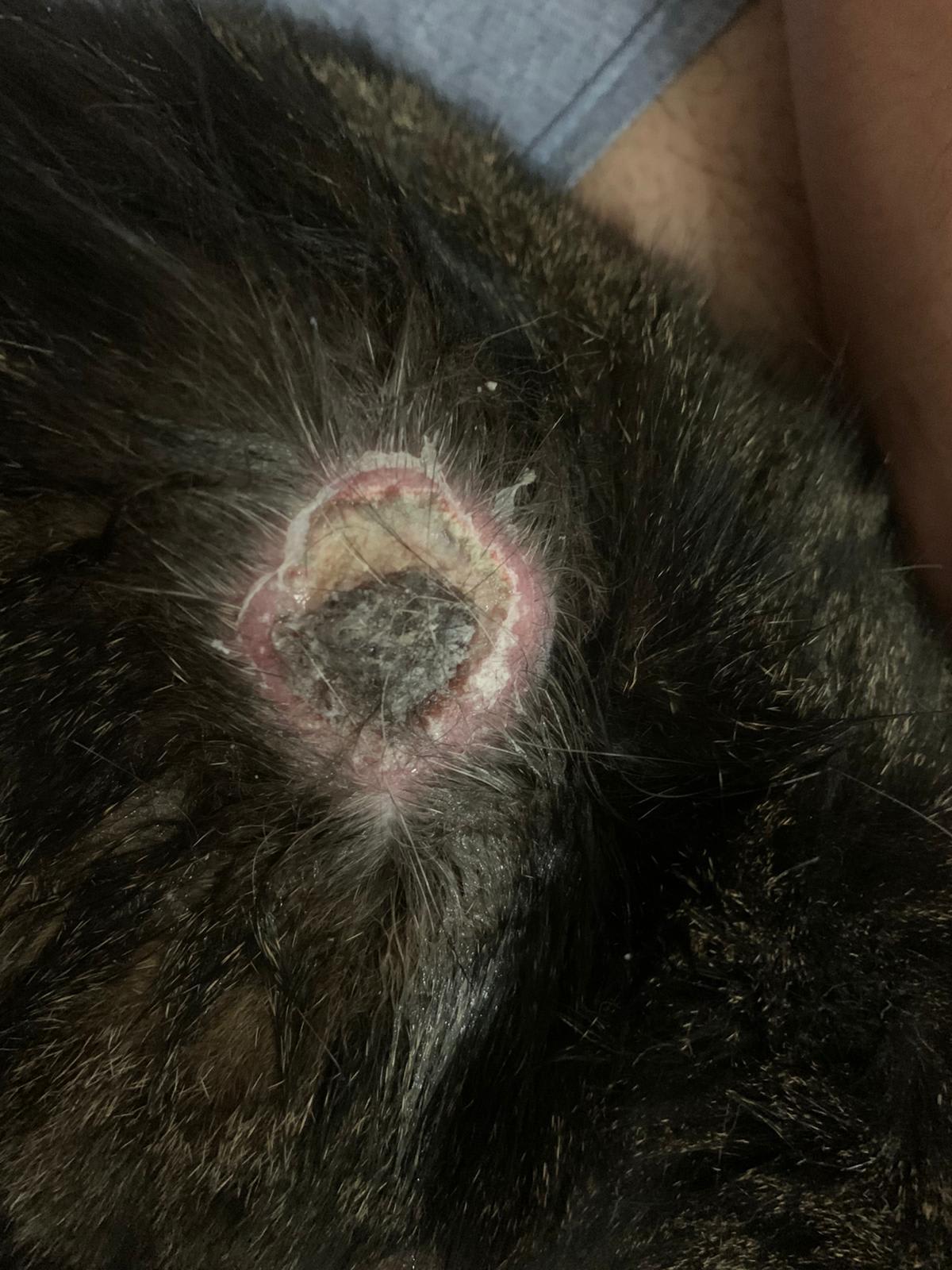 Question details sensitive content