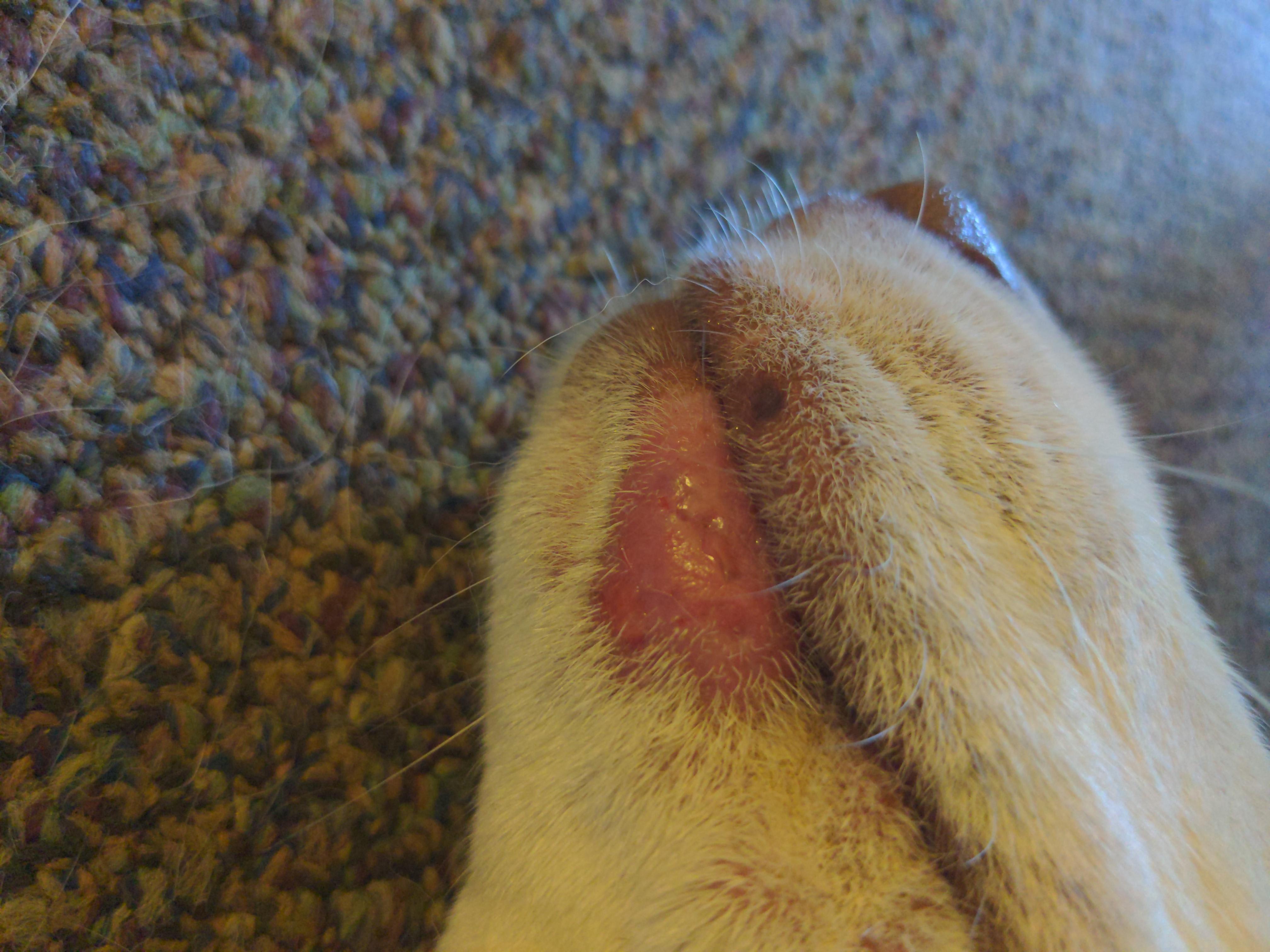 Question details sensitive content