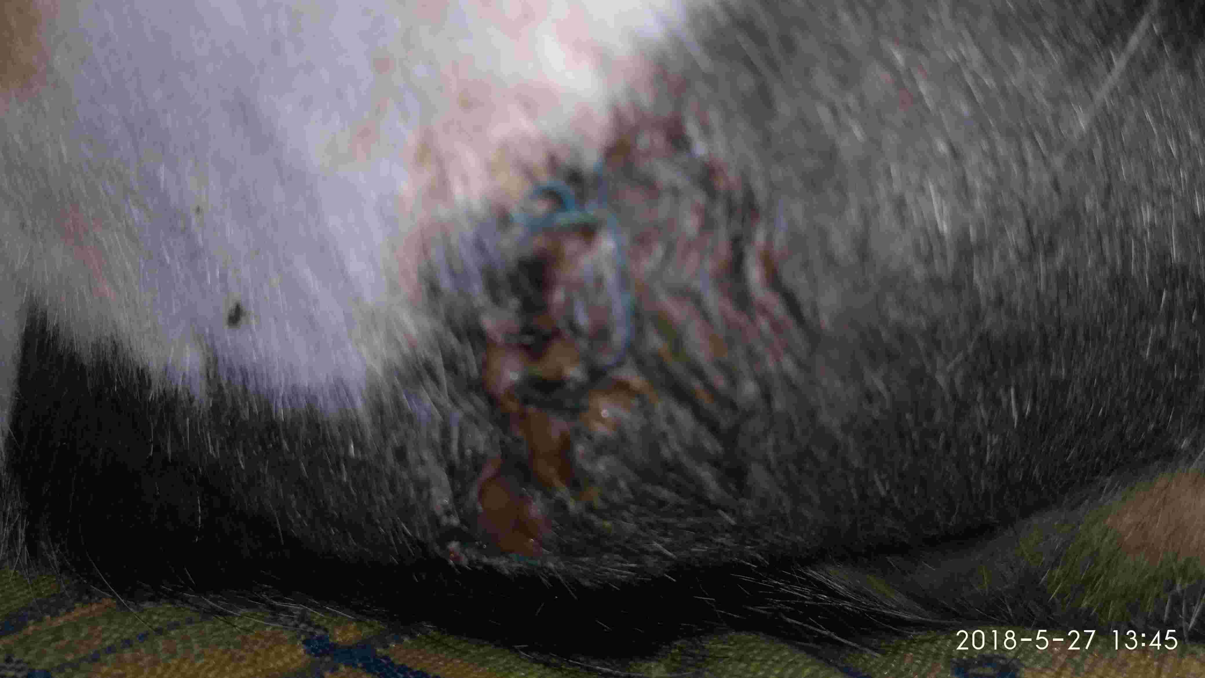 Question details sensitive content