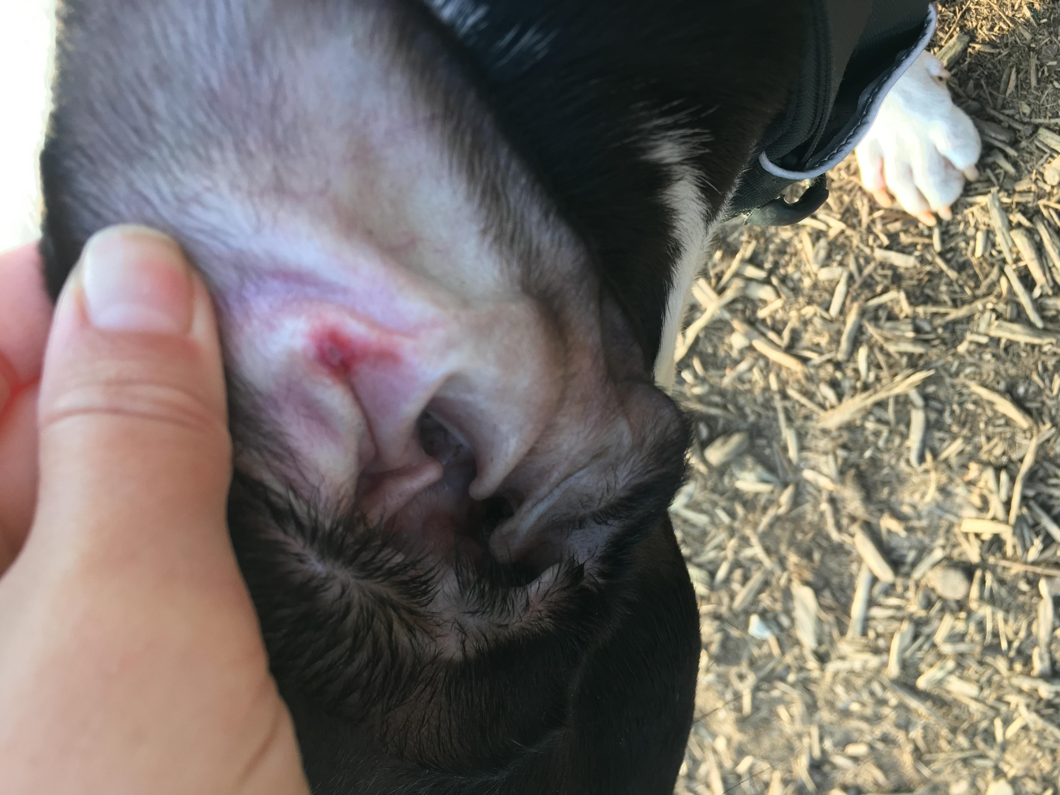 Question details sensitive content