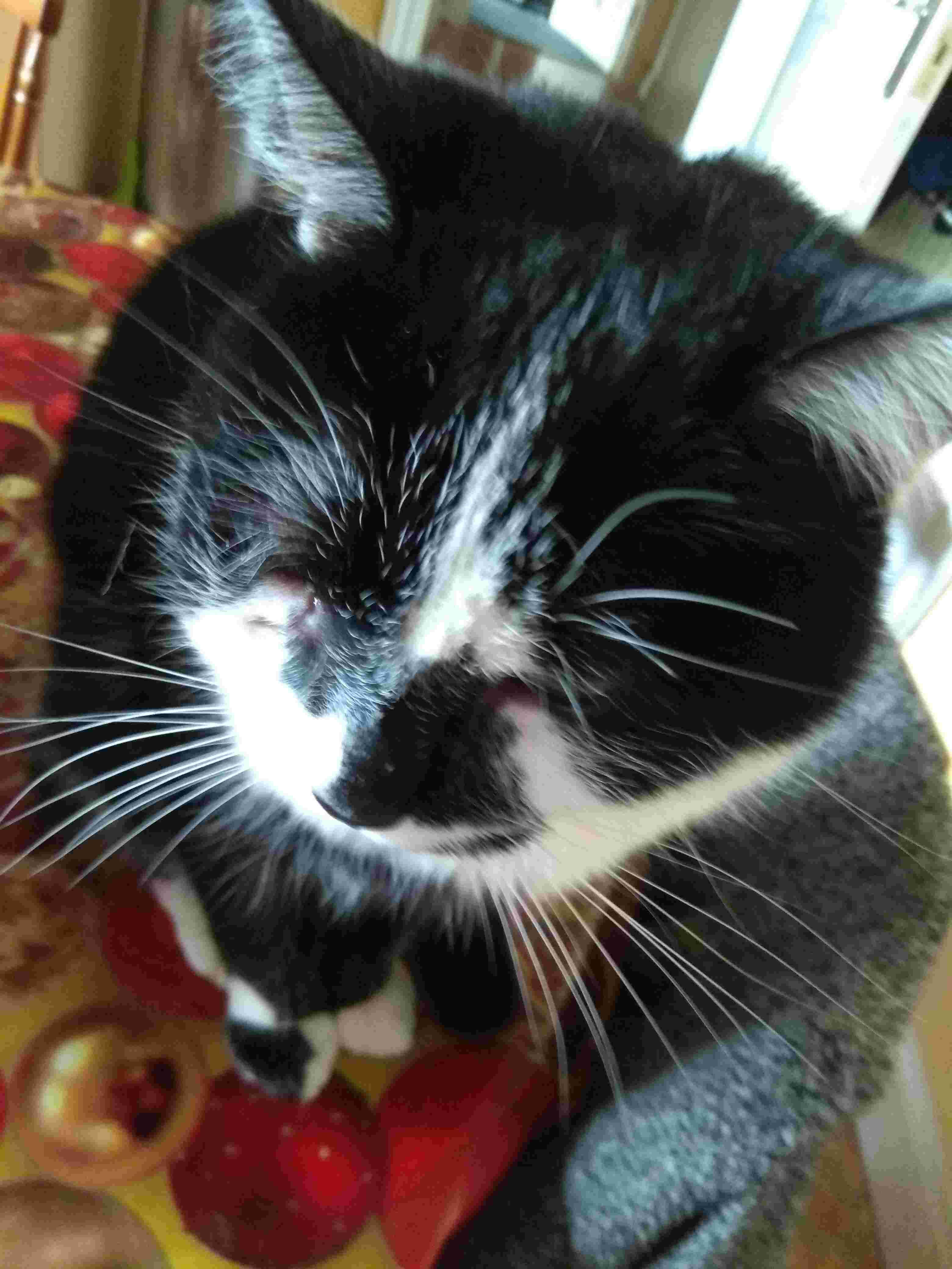 Question details sensitive content