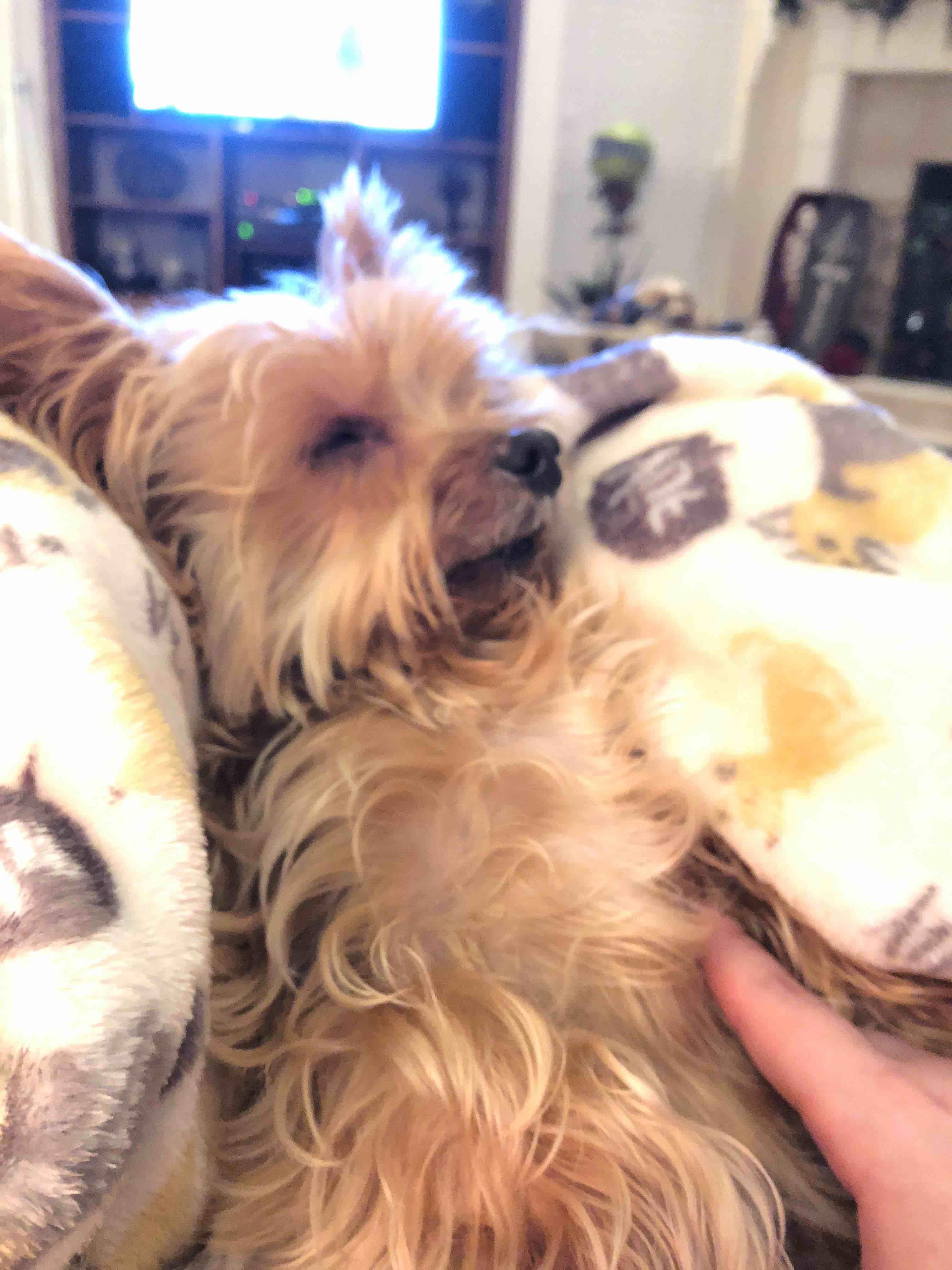 Question details sensitive content