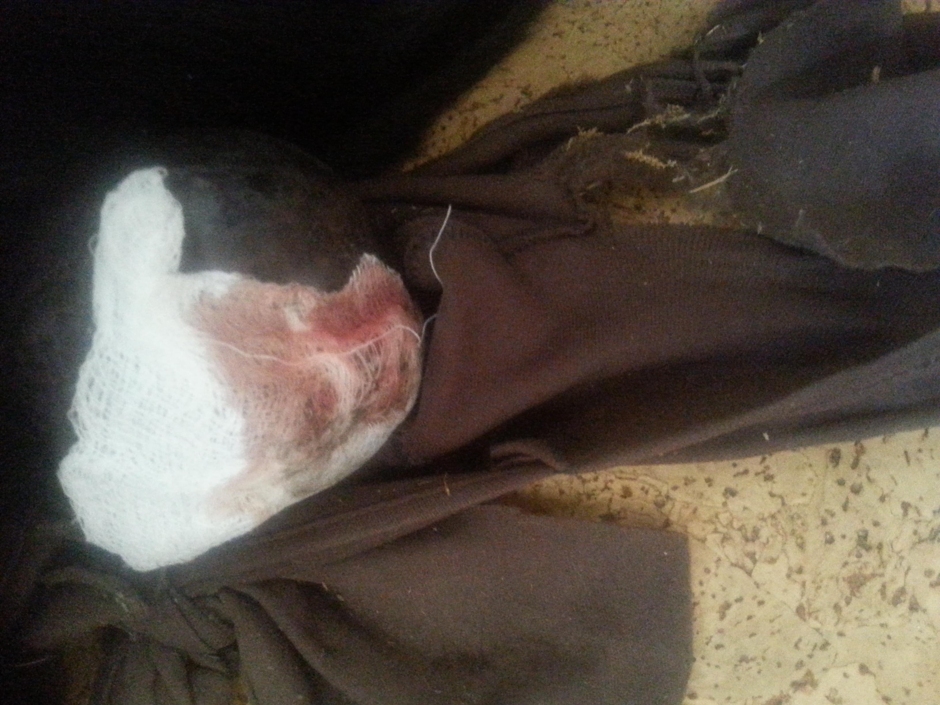 Question details sensitive content