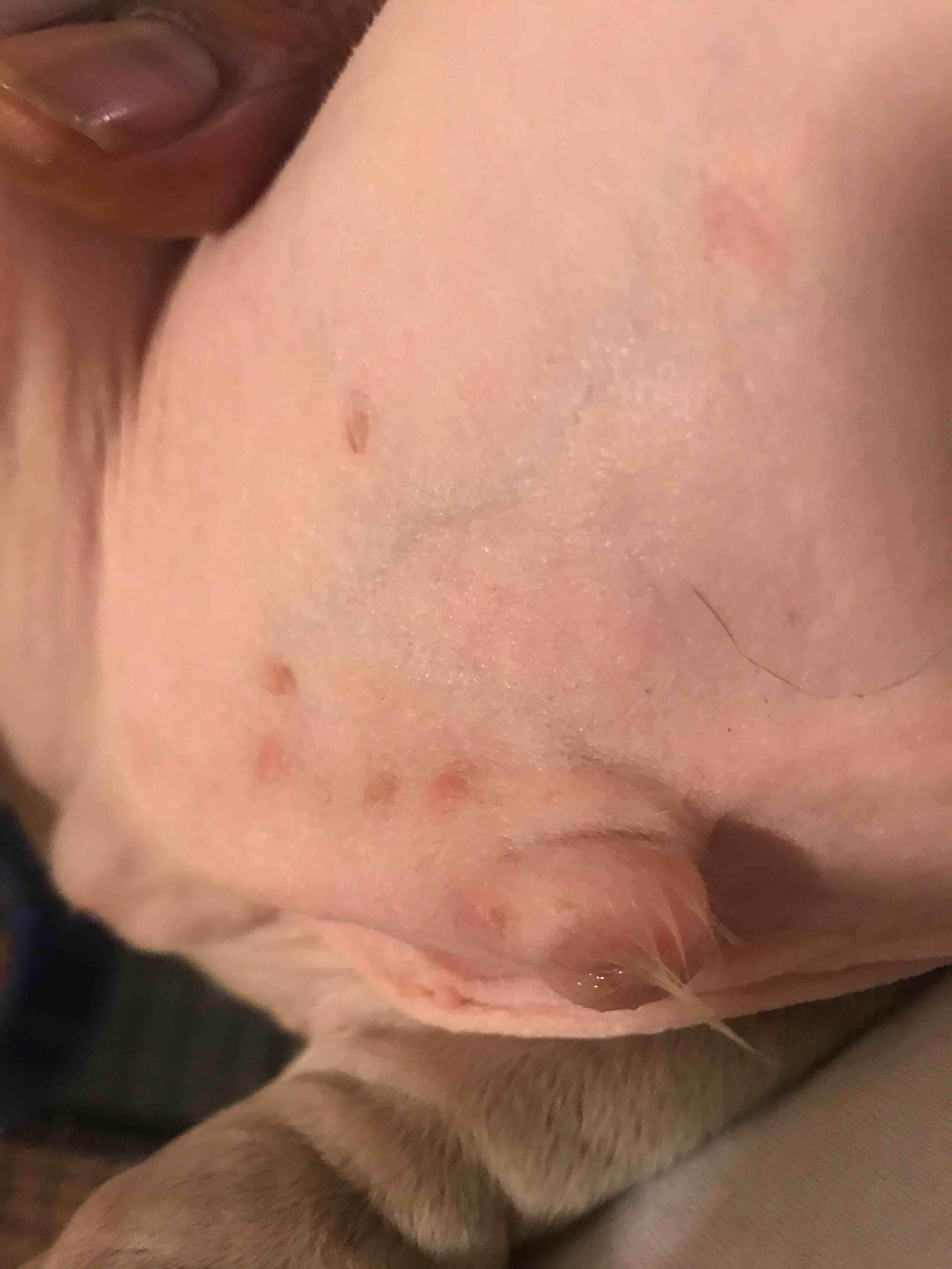 Question details sensitive content