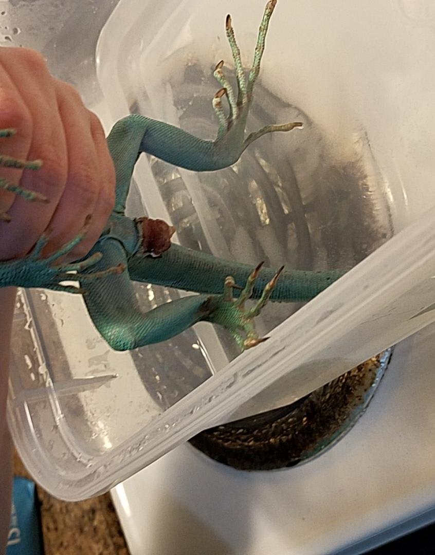 Question details sensitive content