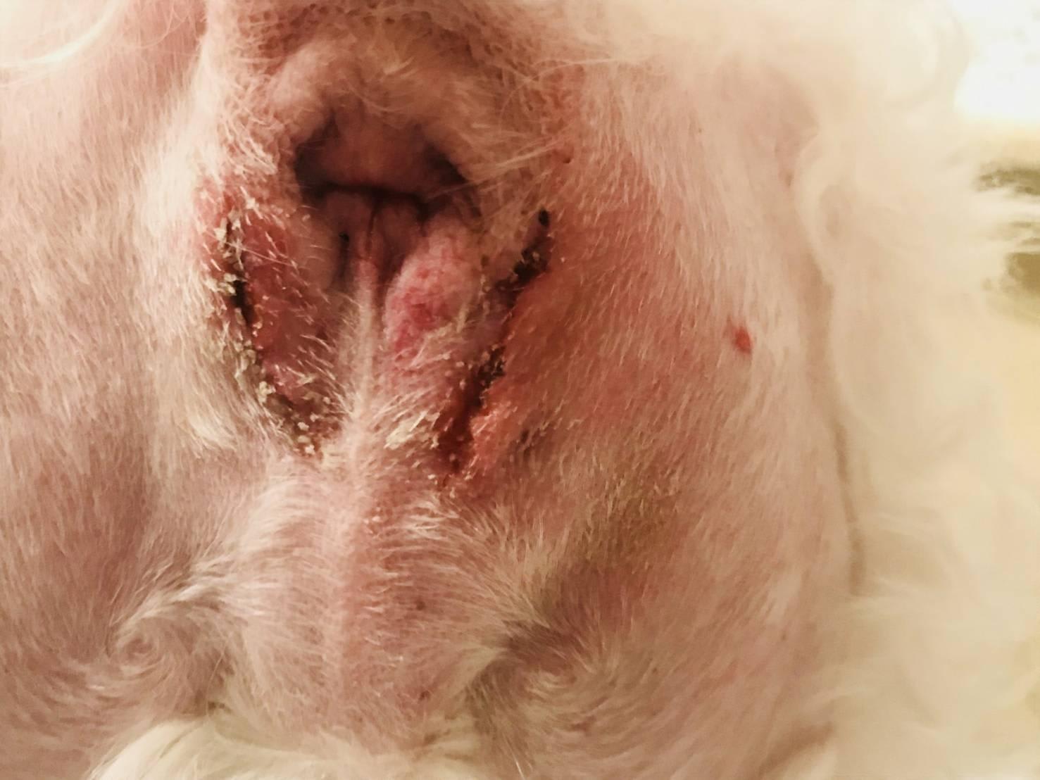 Question details sensitive content