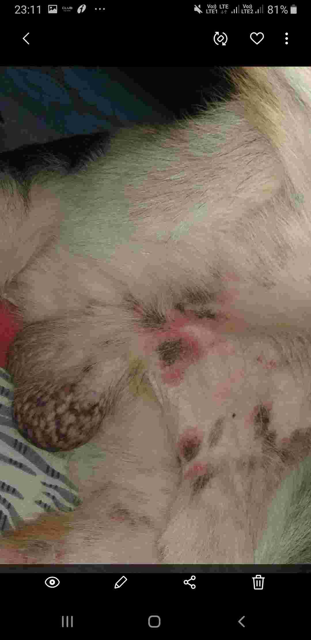 Question details sensitive content