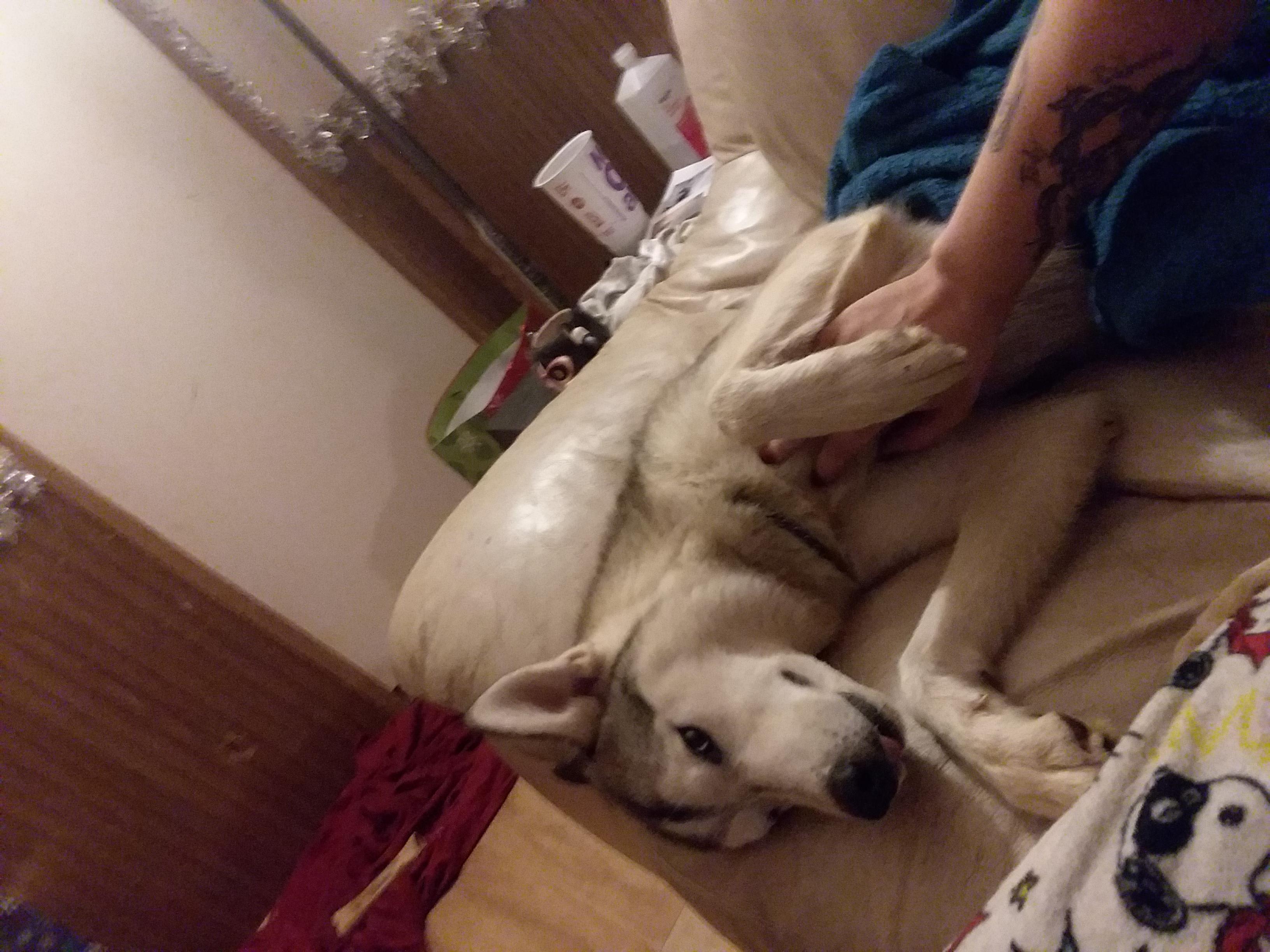 Question details sensitive content