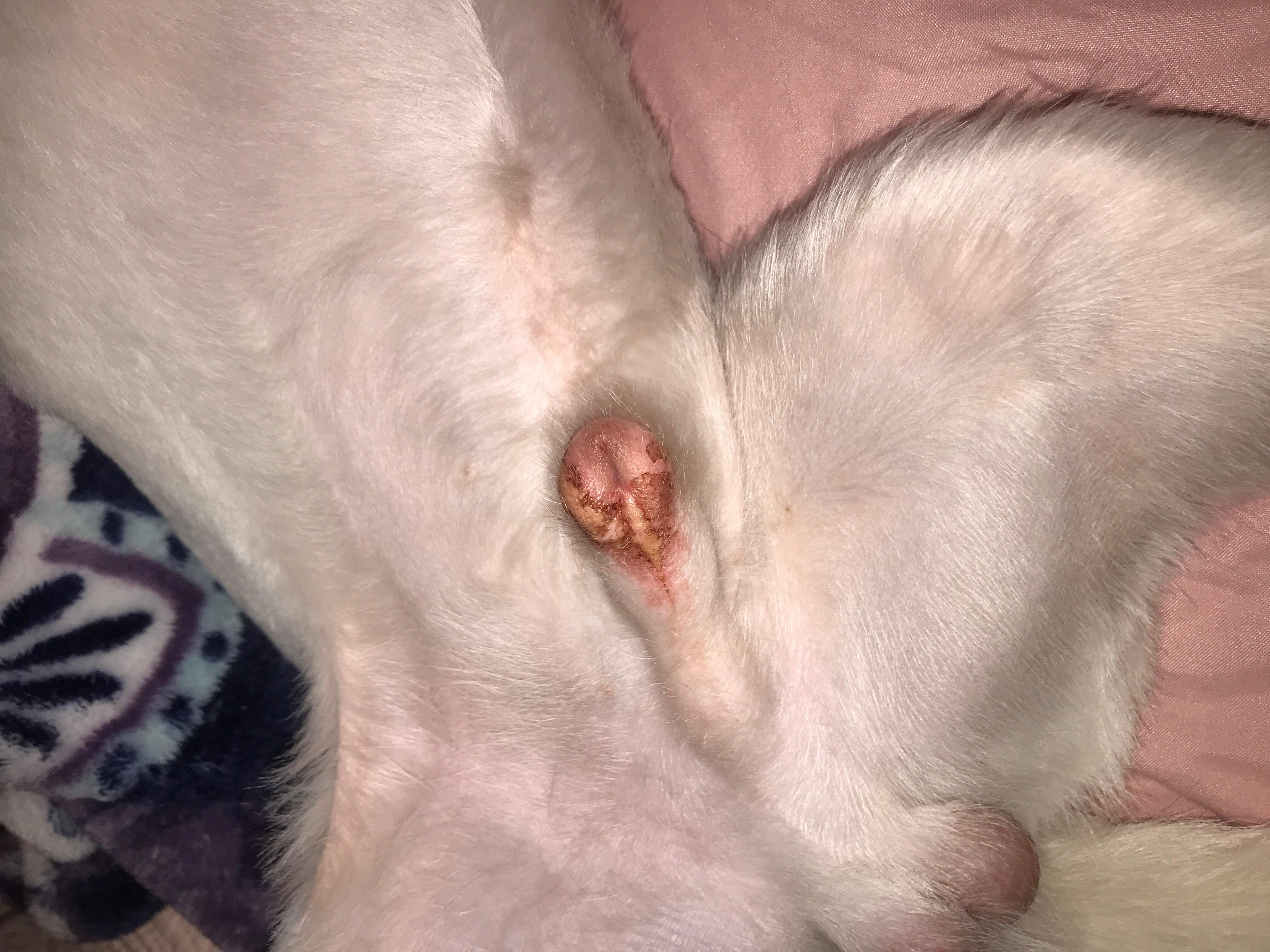 Question details sensitive content