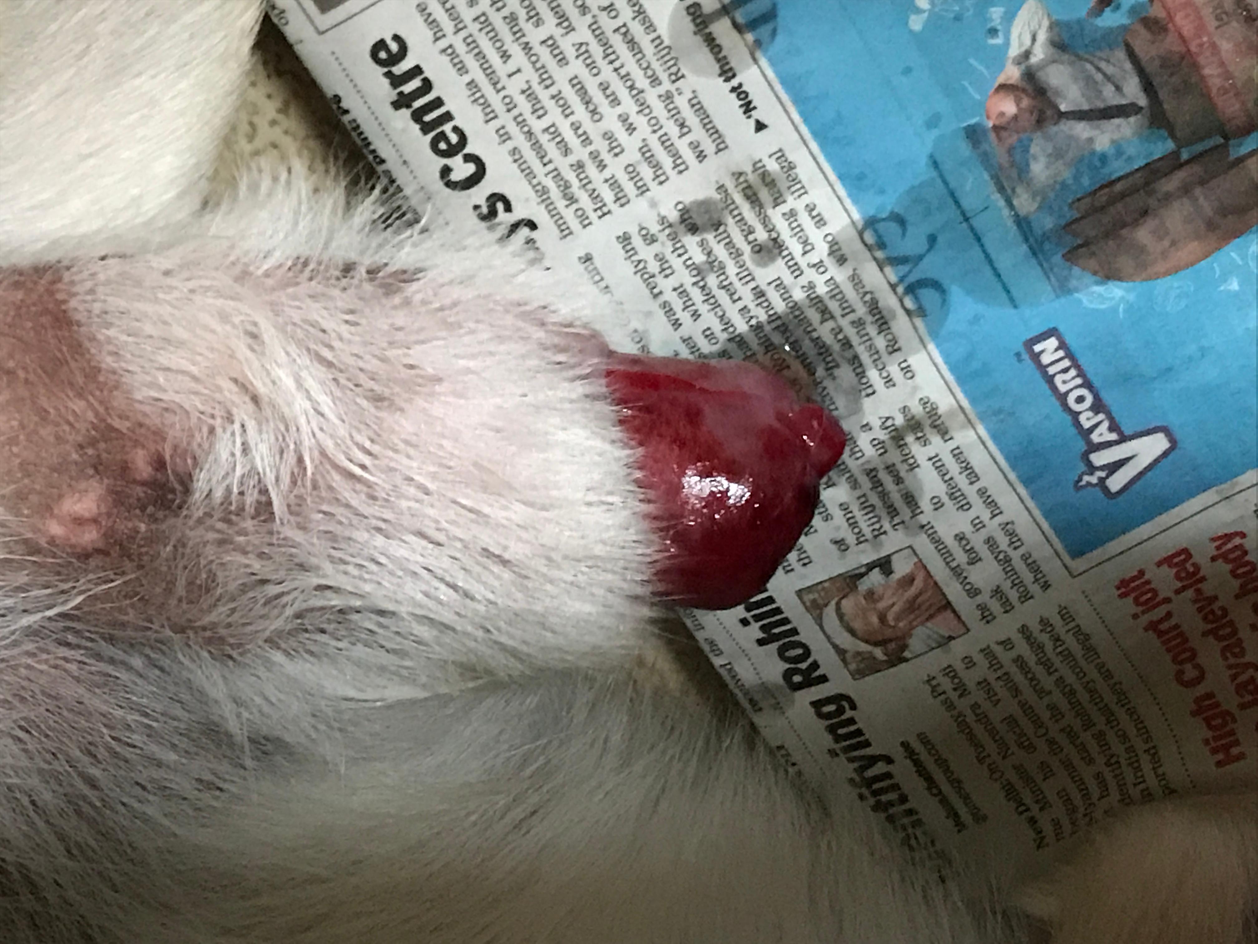 Question details sensitive content