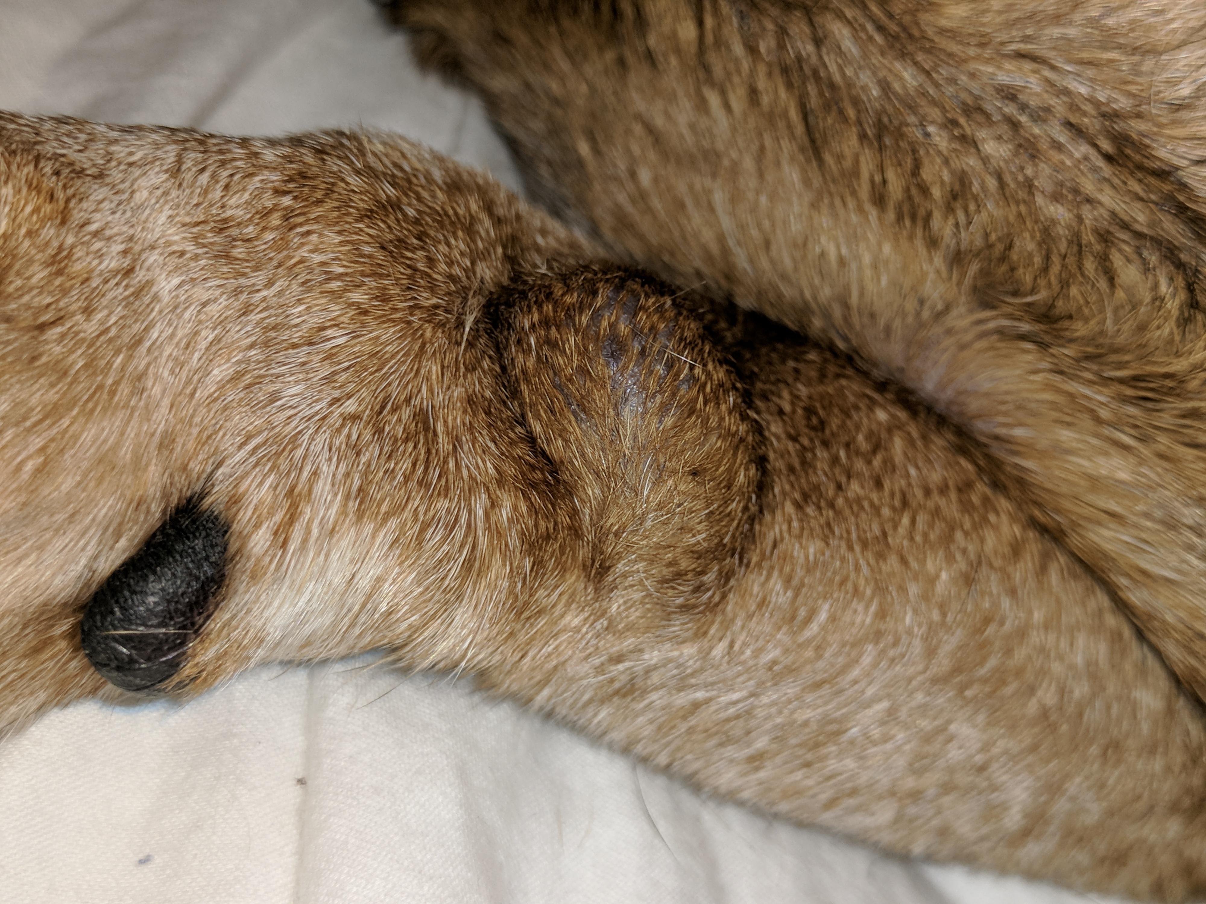 Question details sensitive content