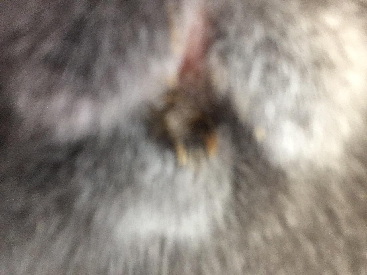 Question details sensitive content