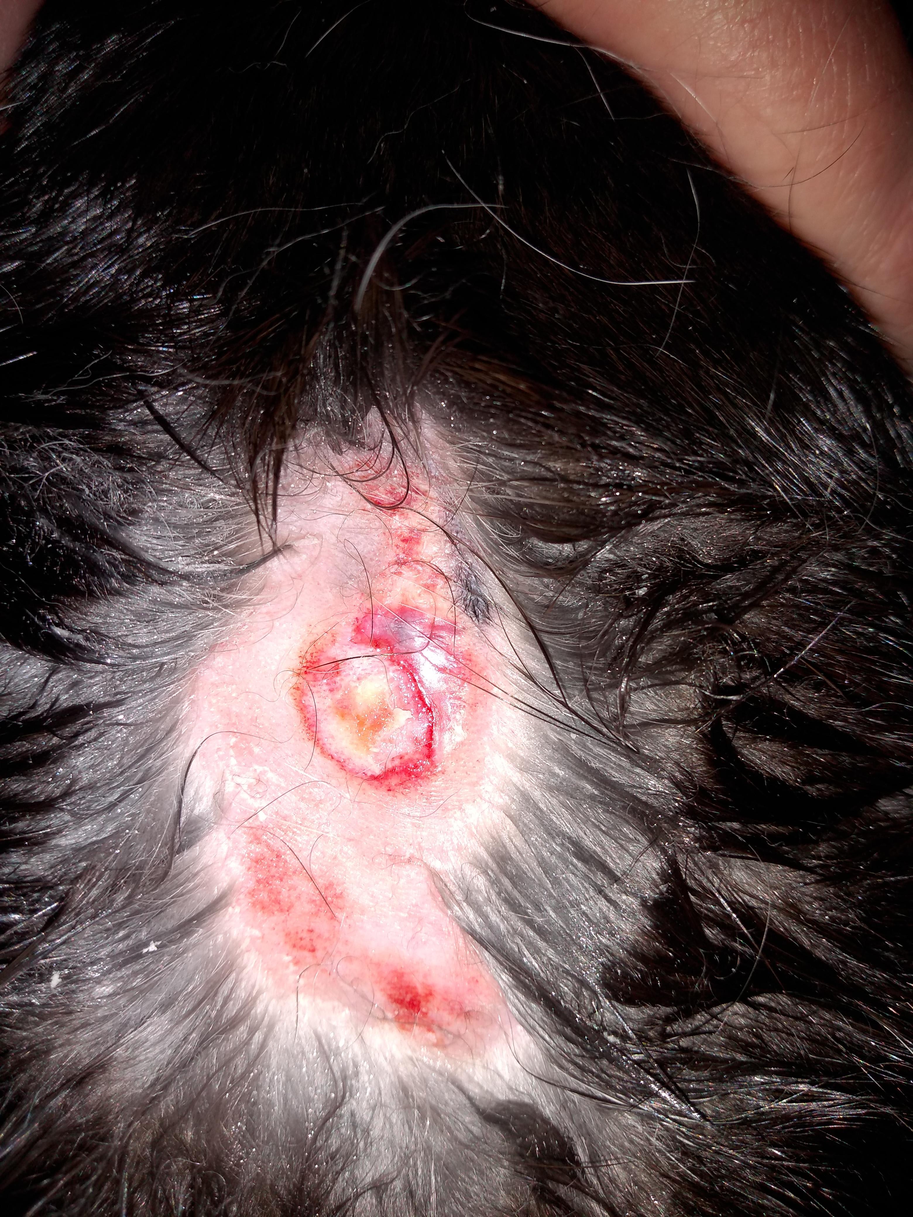 Question details sensitive content