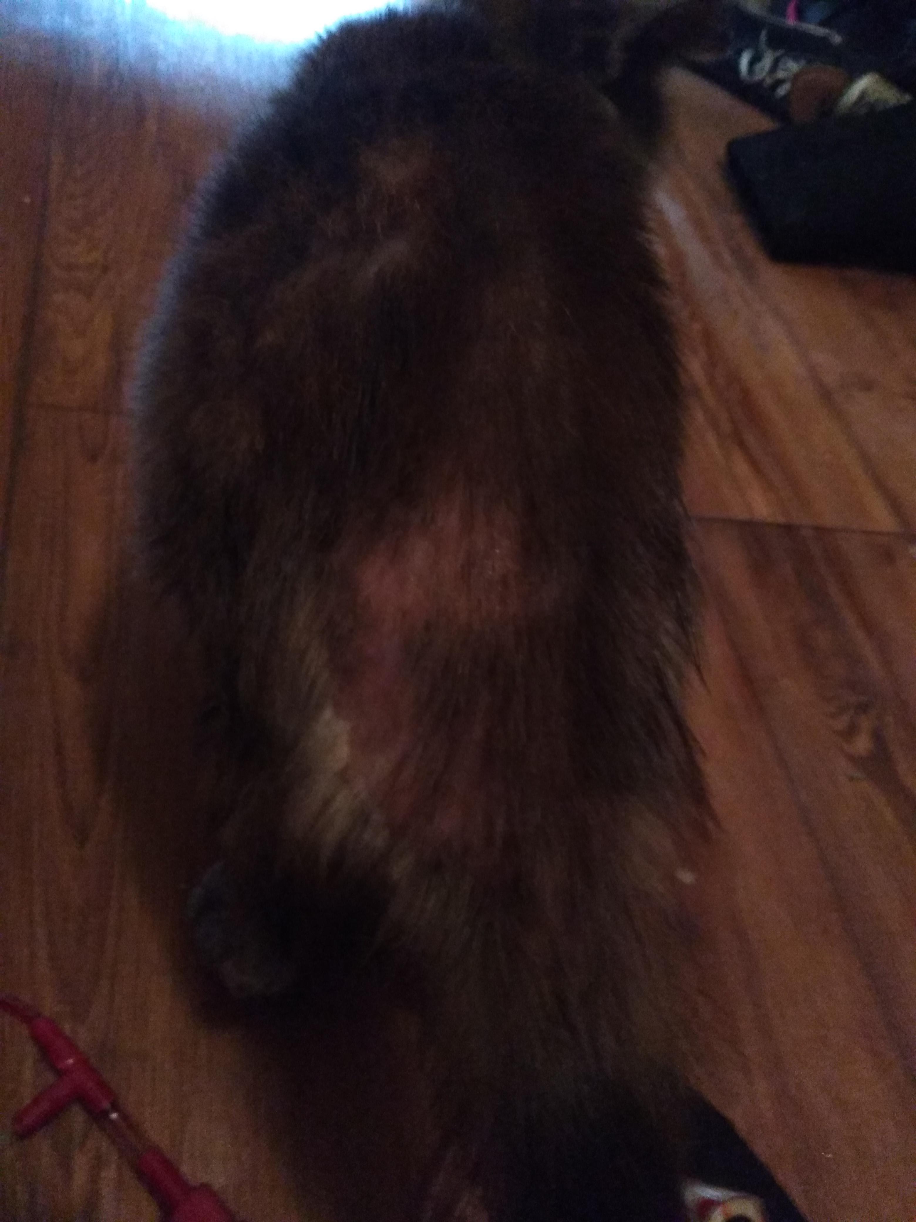 Question details sensitive content