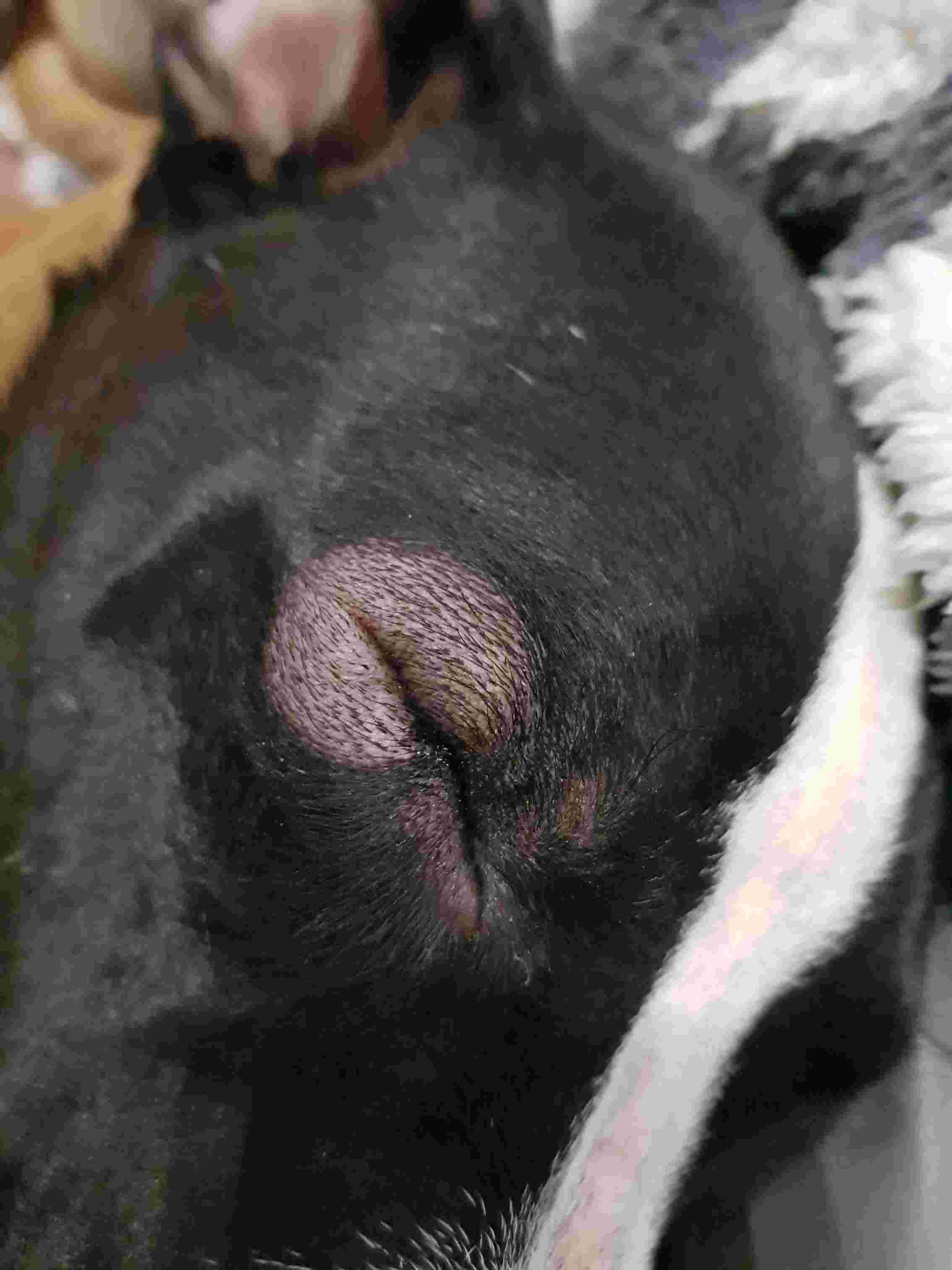 Question details sensitive content