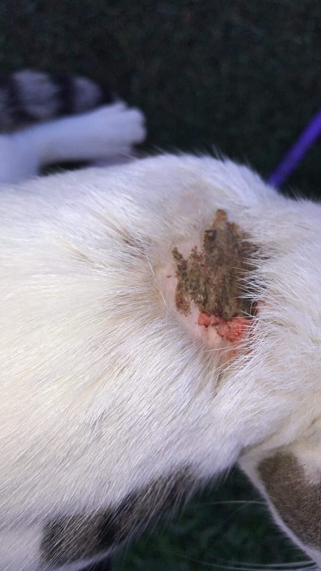 Question details sensitive content