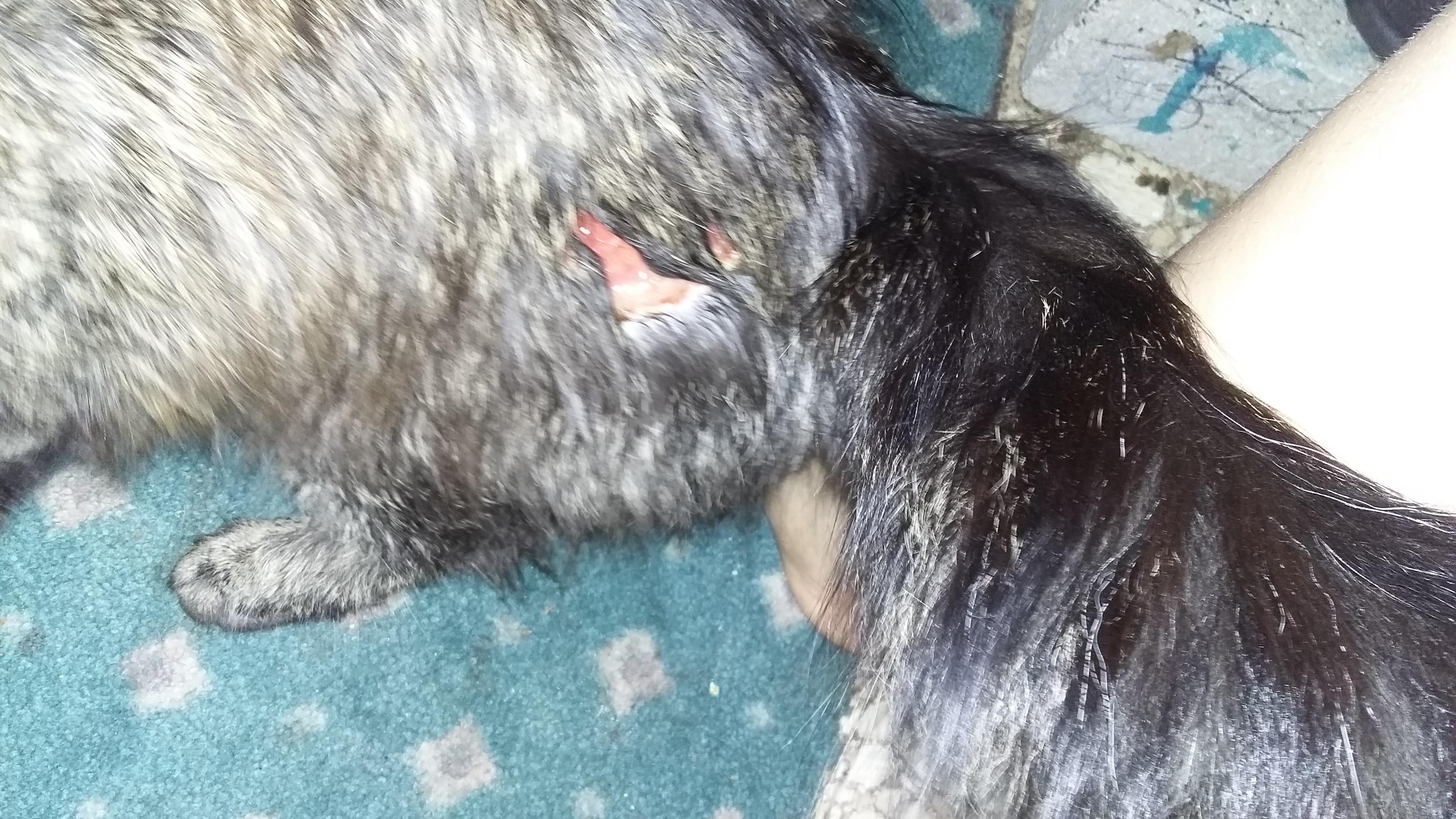 Question details sensitive content