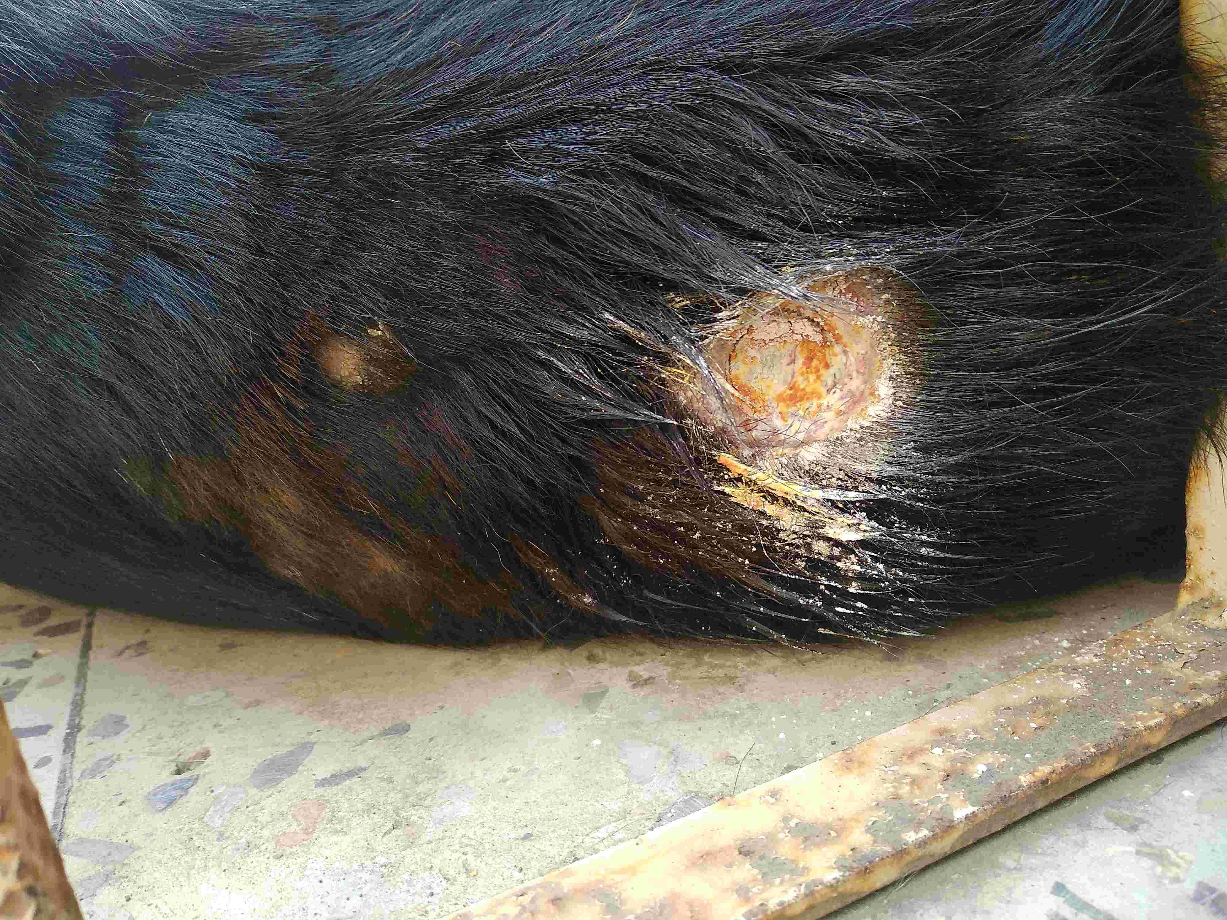 Question details sensitive content