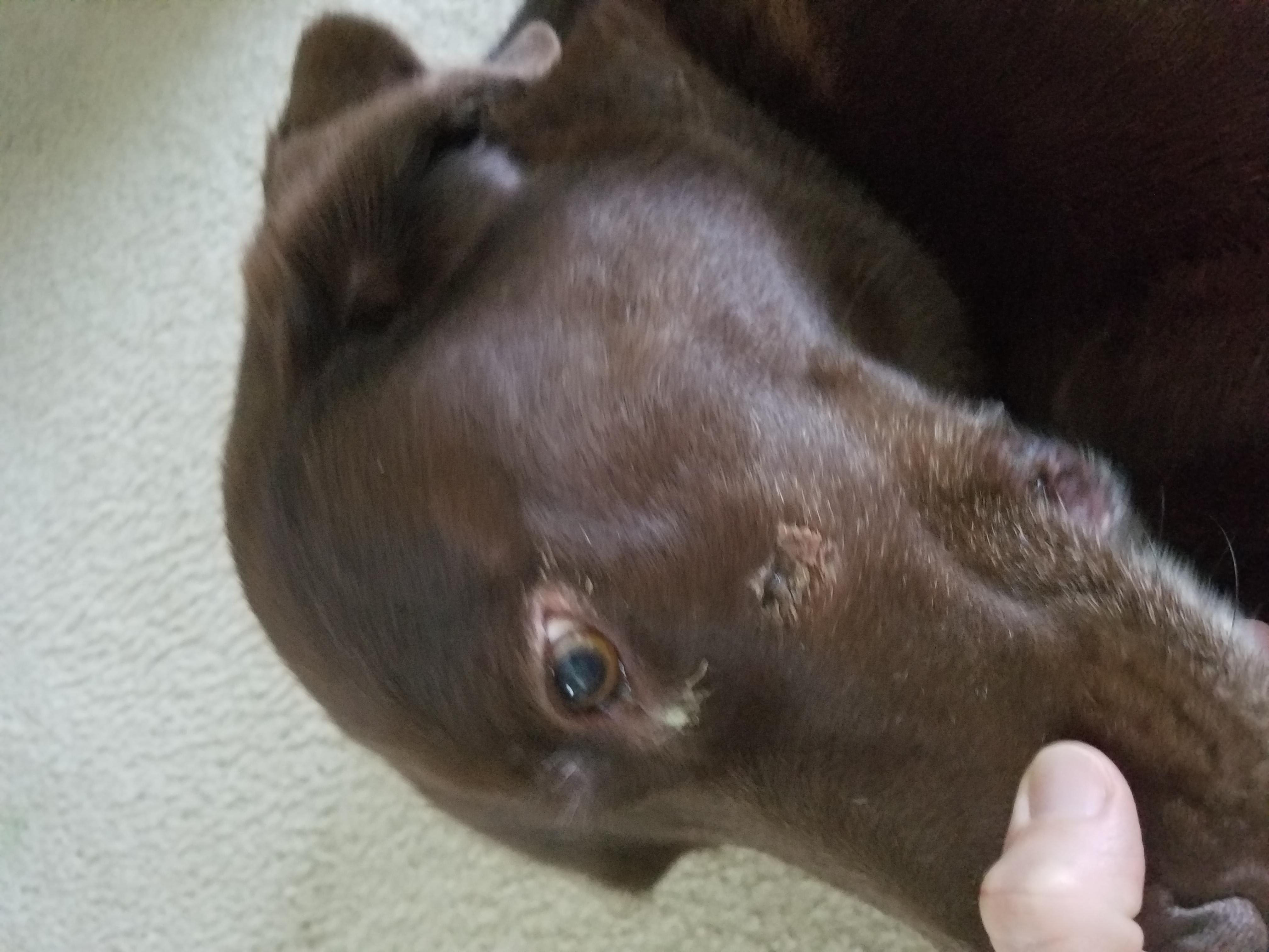 Question details sensitive content