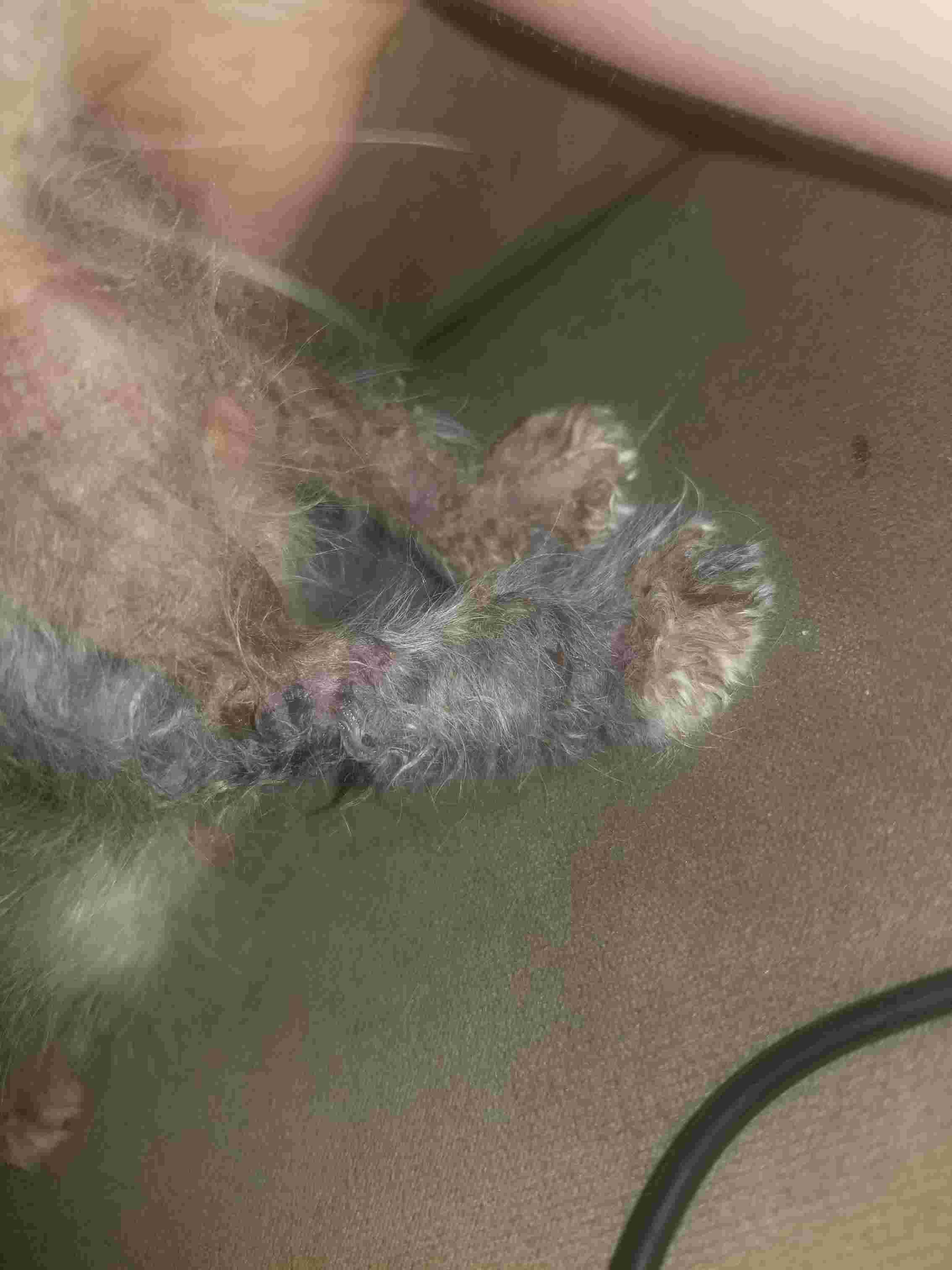 Question details sensitive content