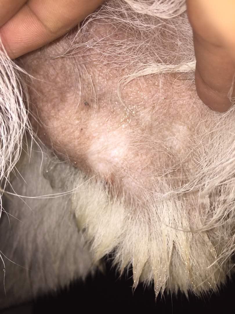 Question details sensitive content