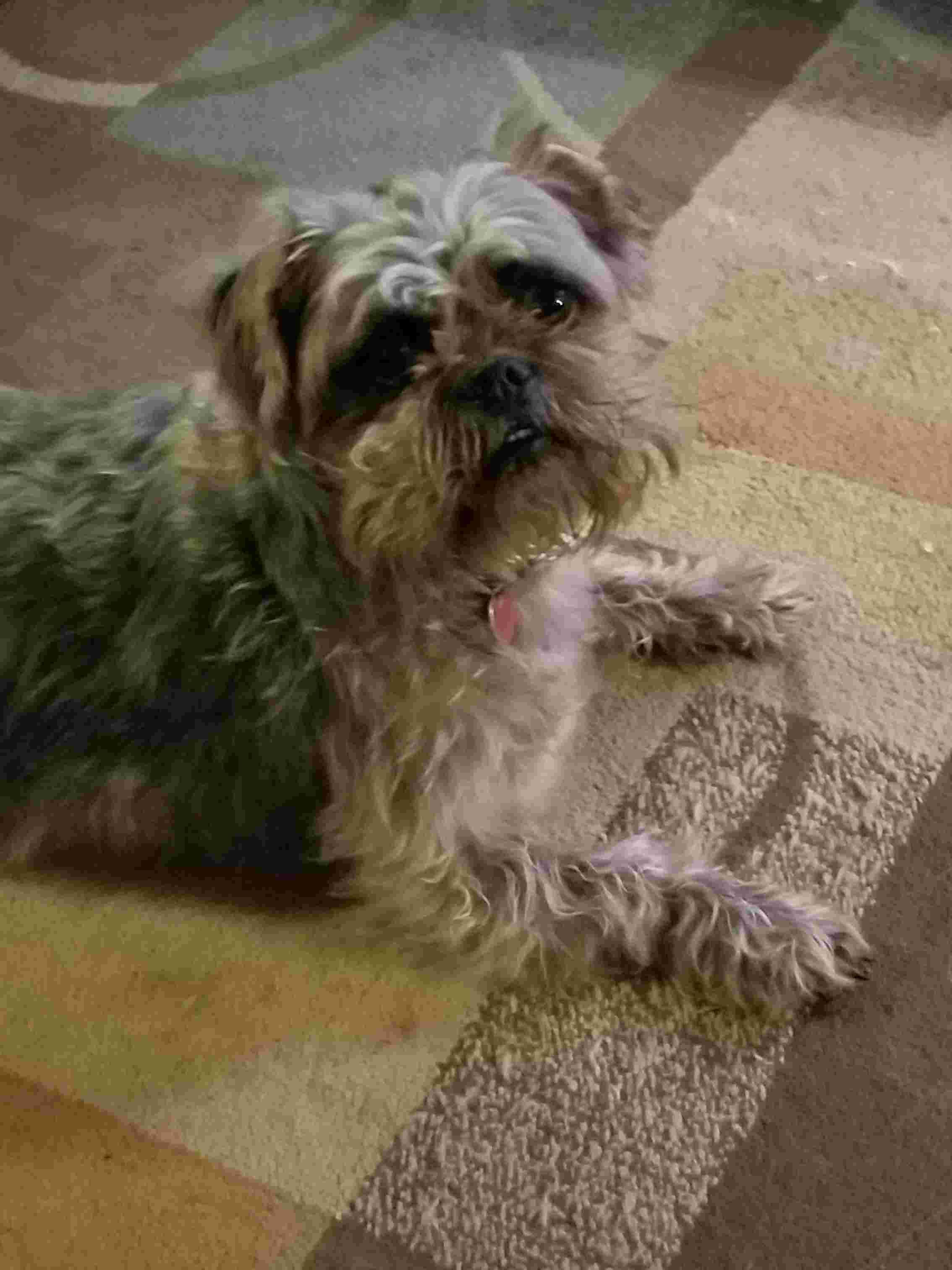 Question details sensitive content