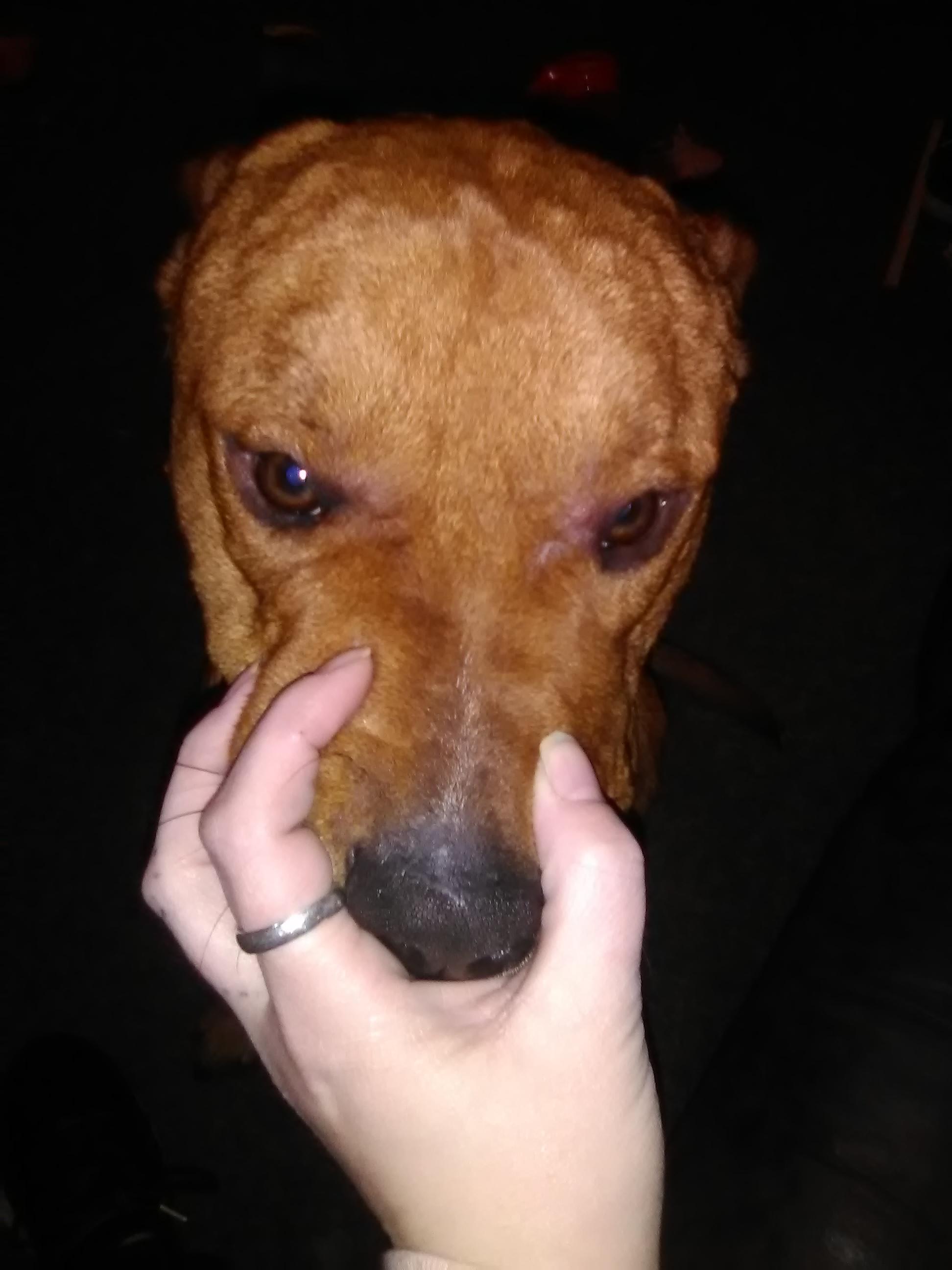 Question details sensitive content