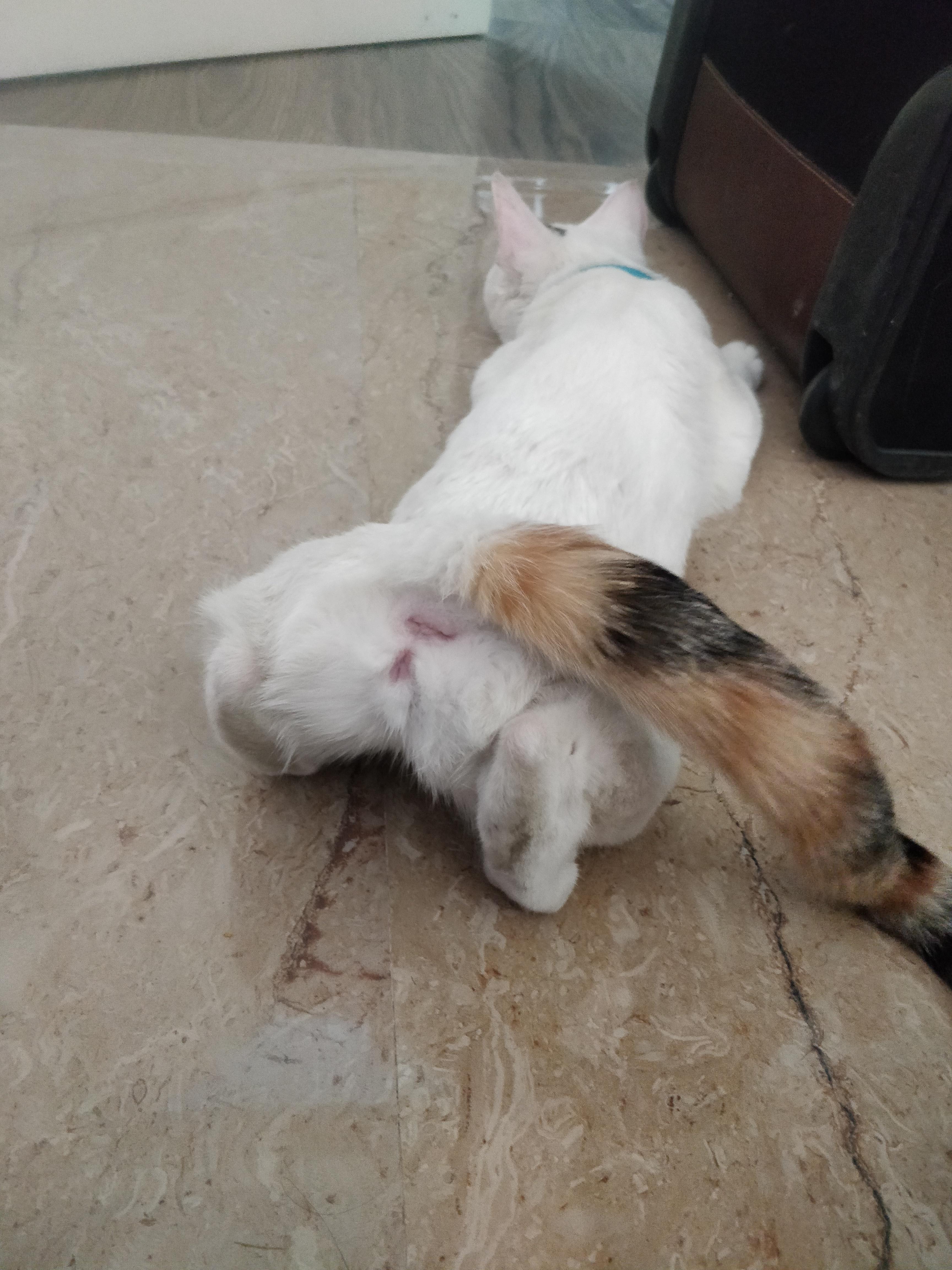 Question details sensitive content