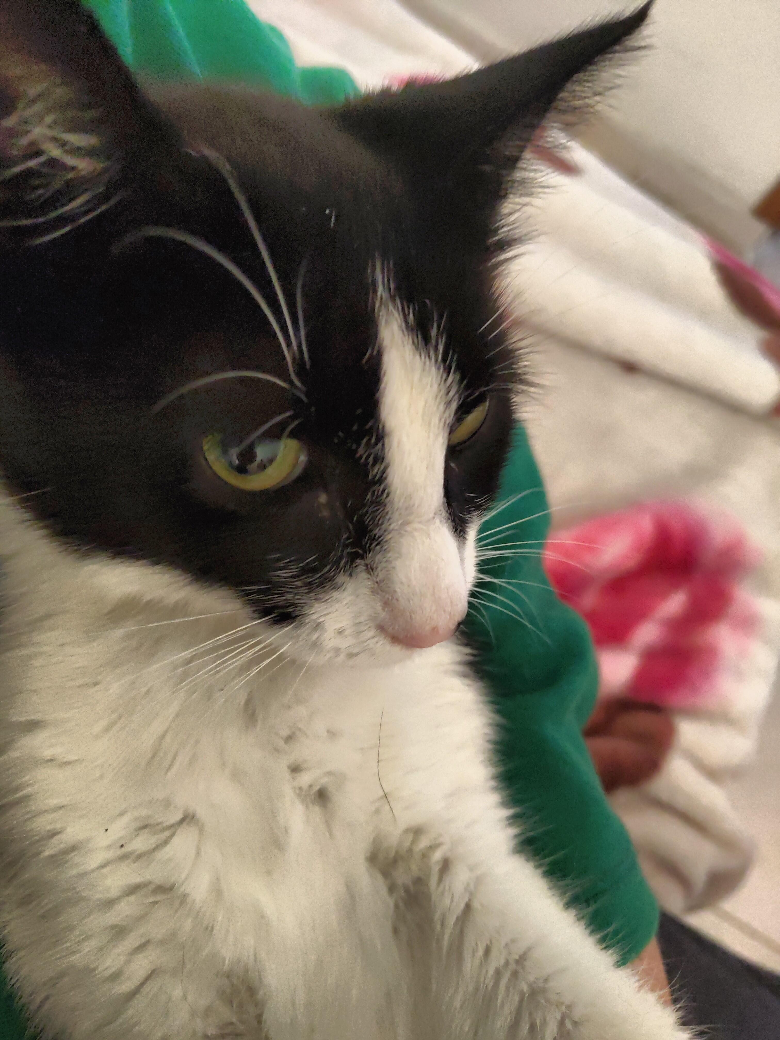 Question details sensitive content