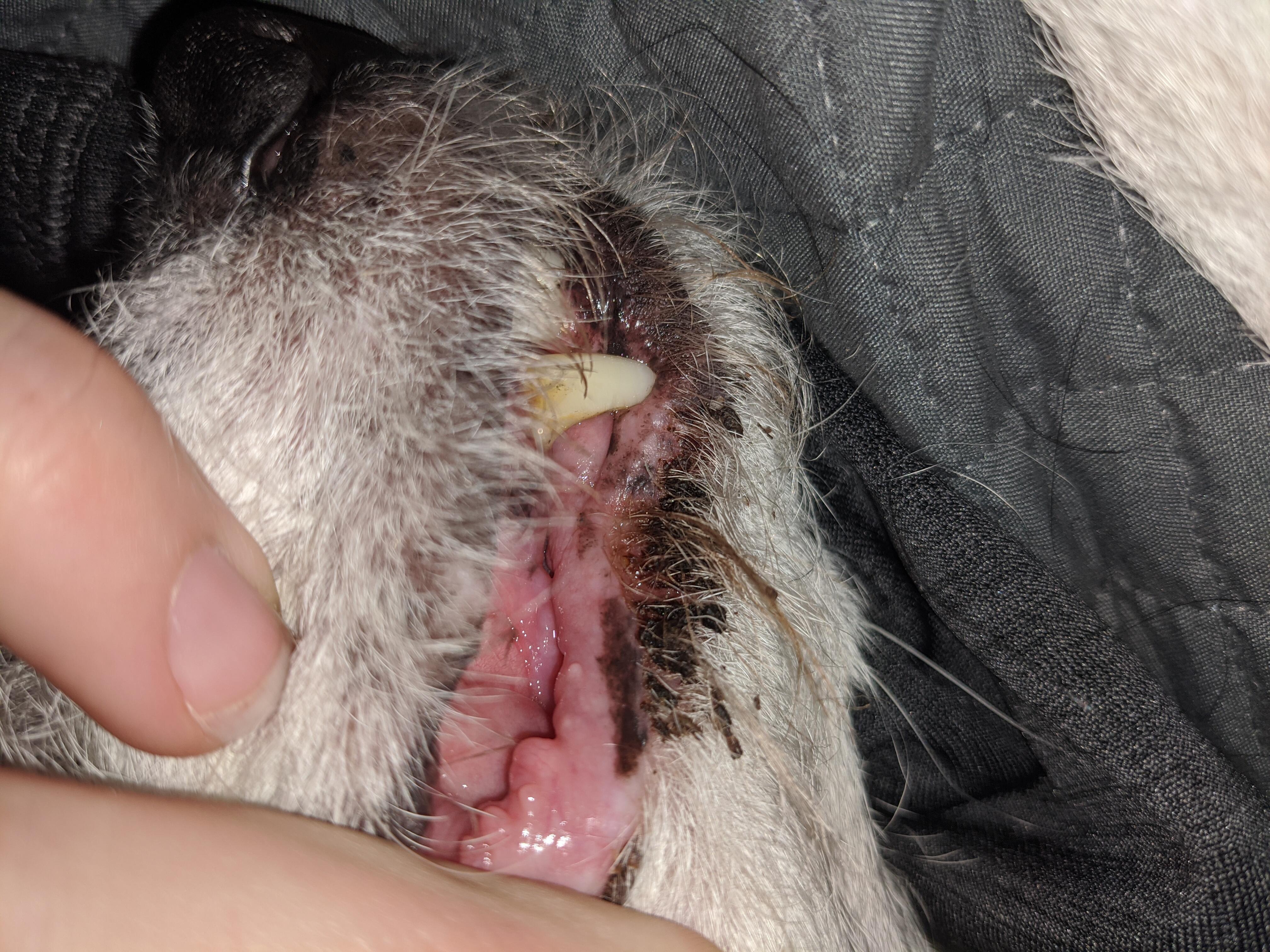 Question details sensitive content