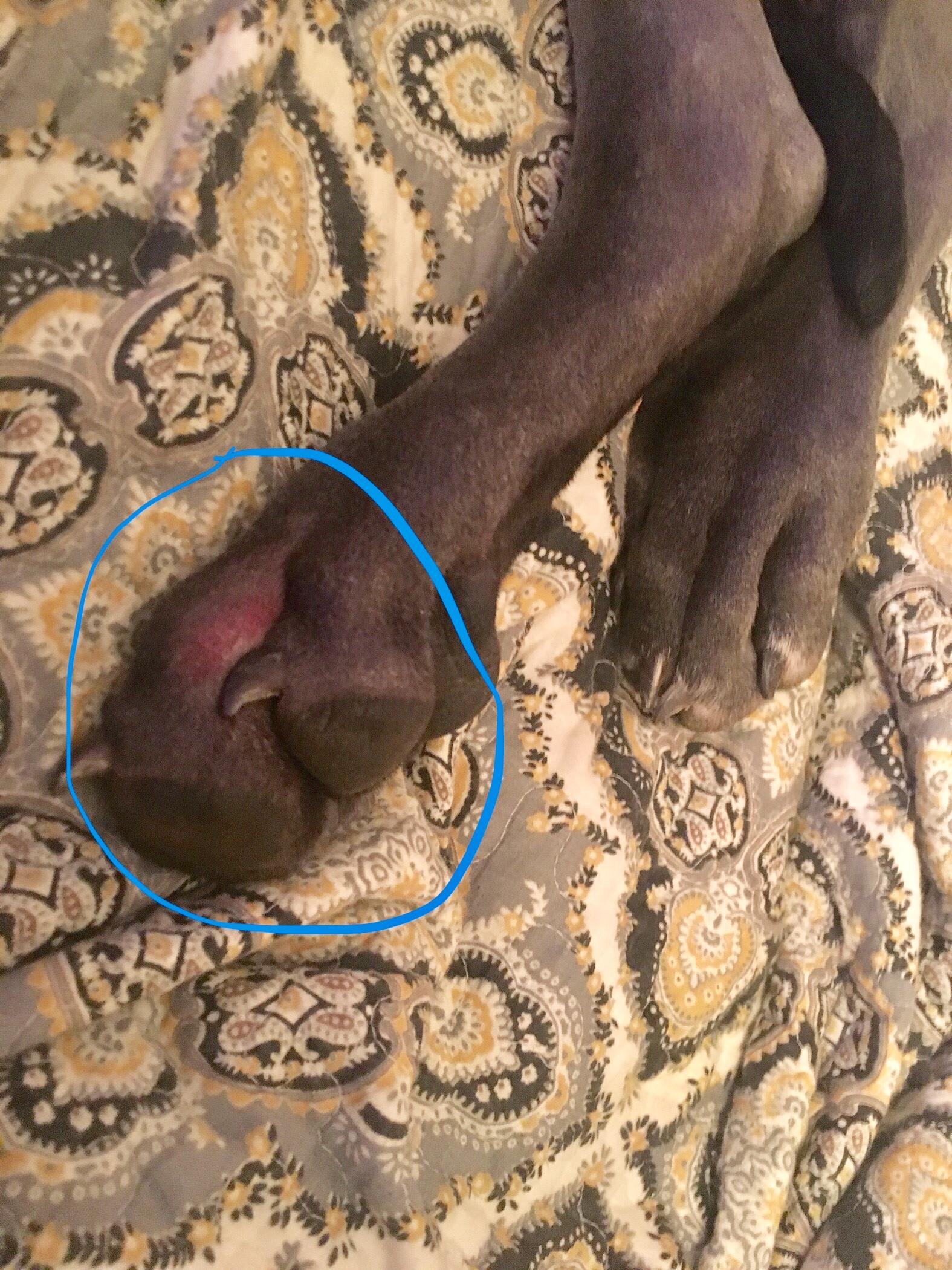 Question details sensitive content