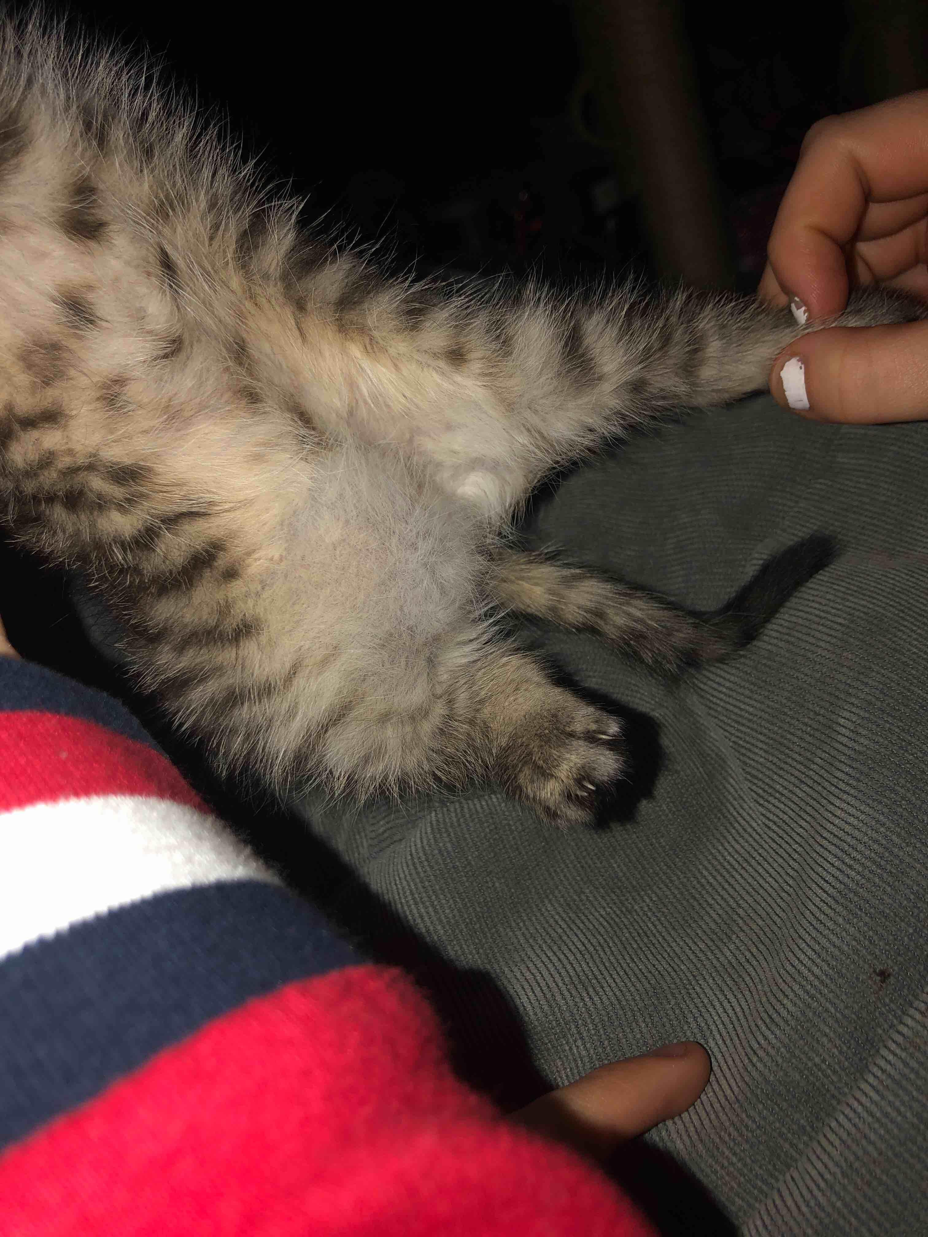 Question details sensitive content