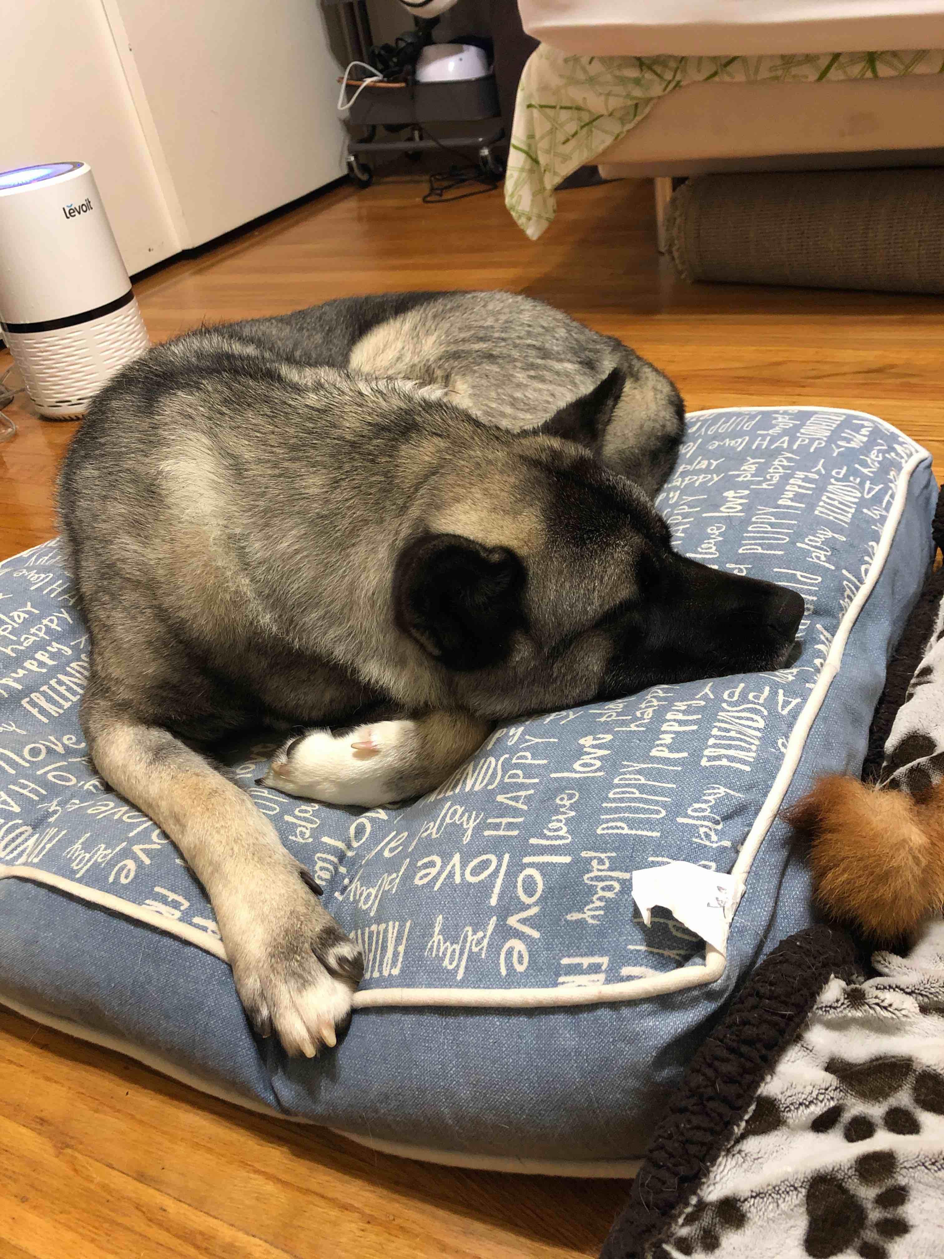 Question details sensitive content