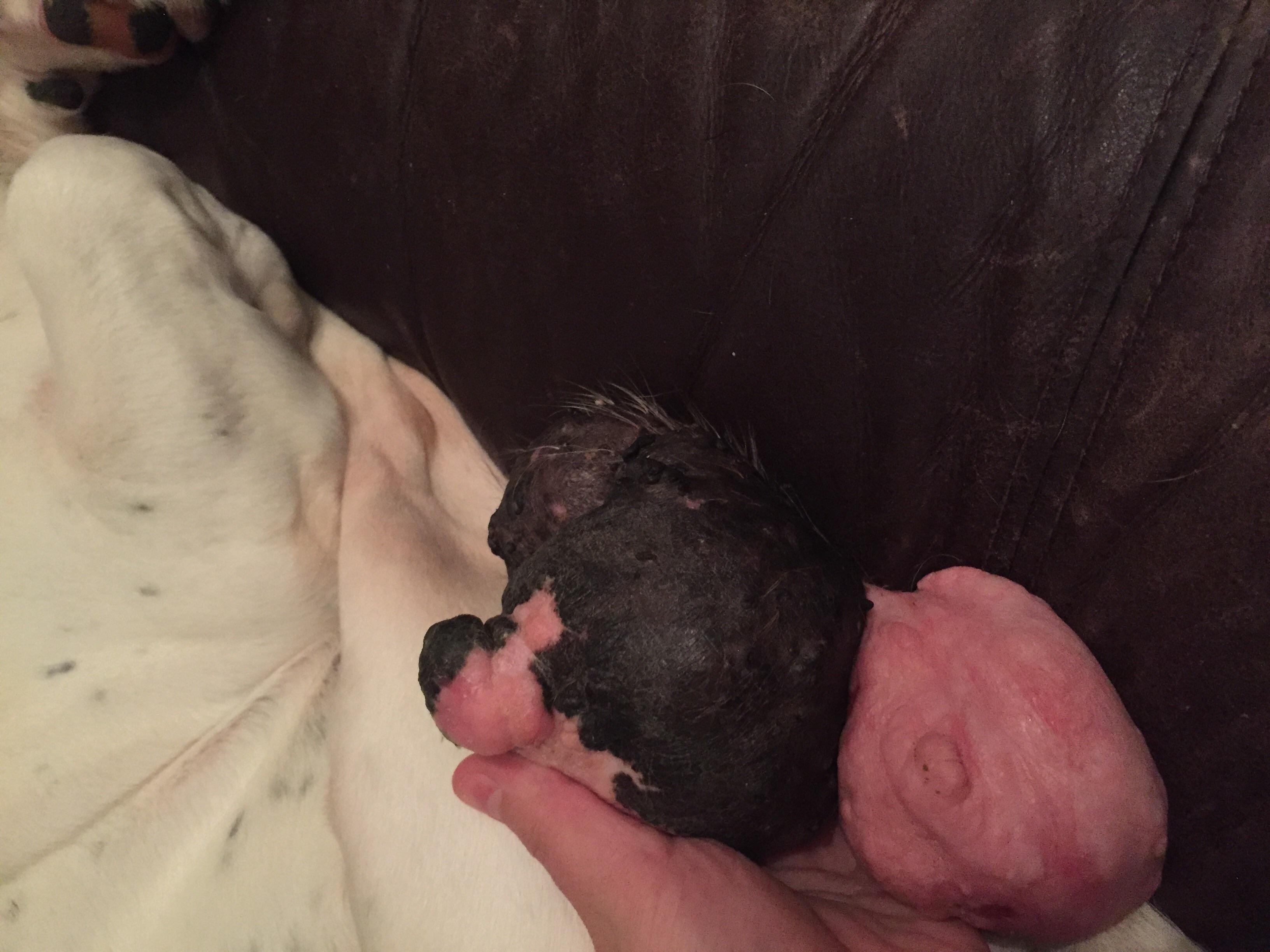 Question details sensitive content