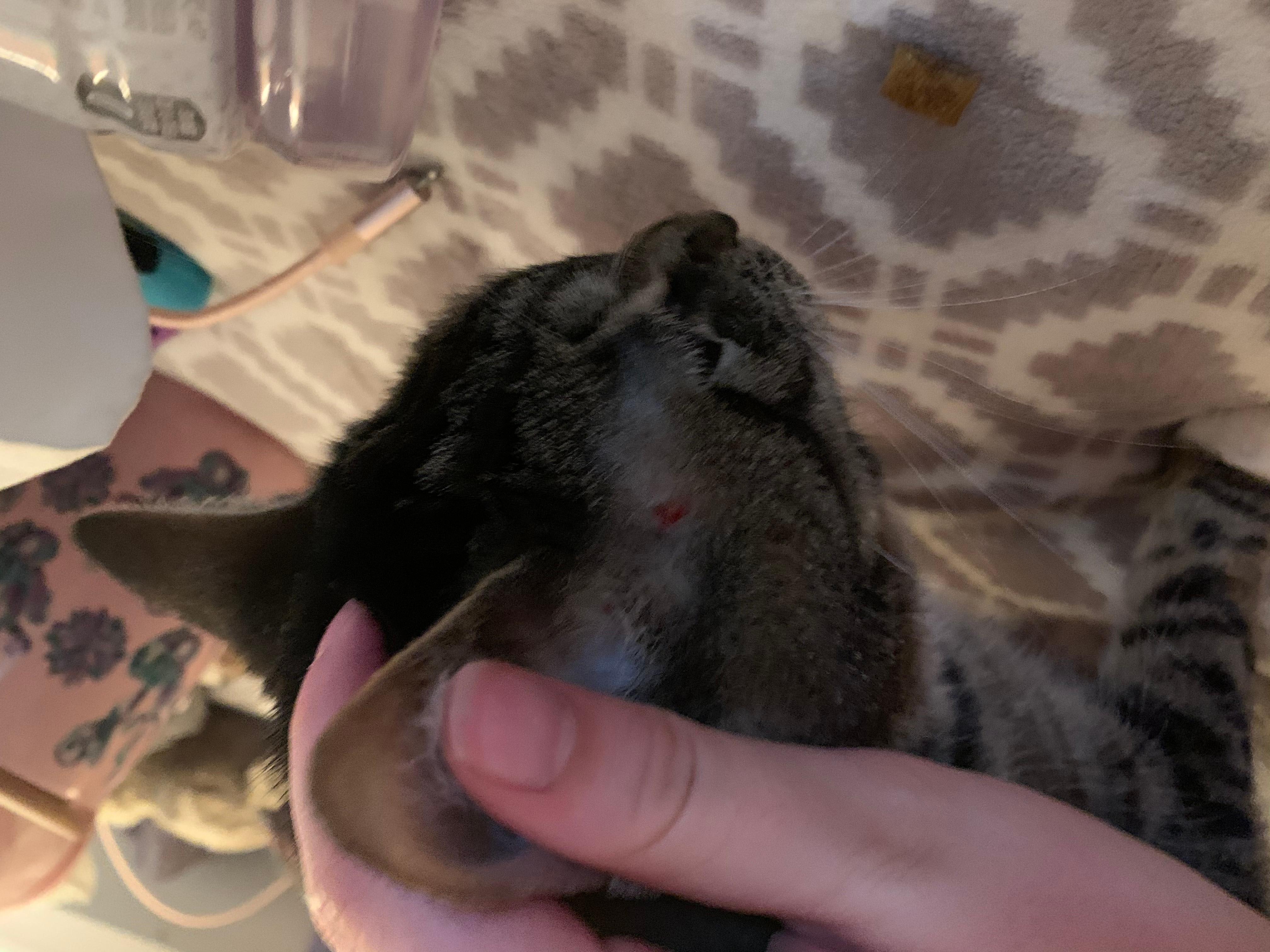 Question details sensitive content