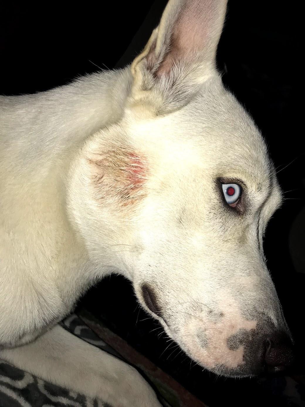 Question details sensitive content