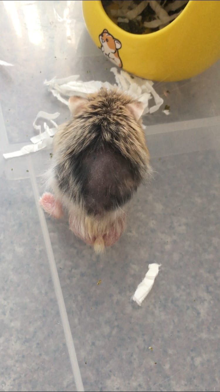 Question details sensitive content