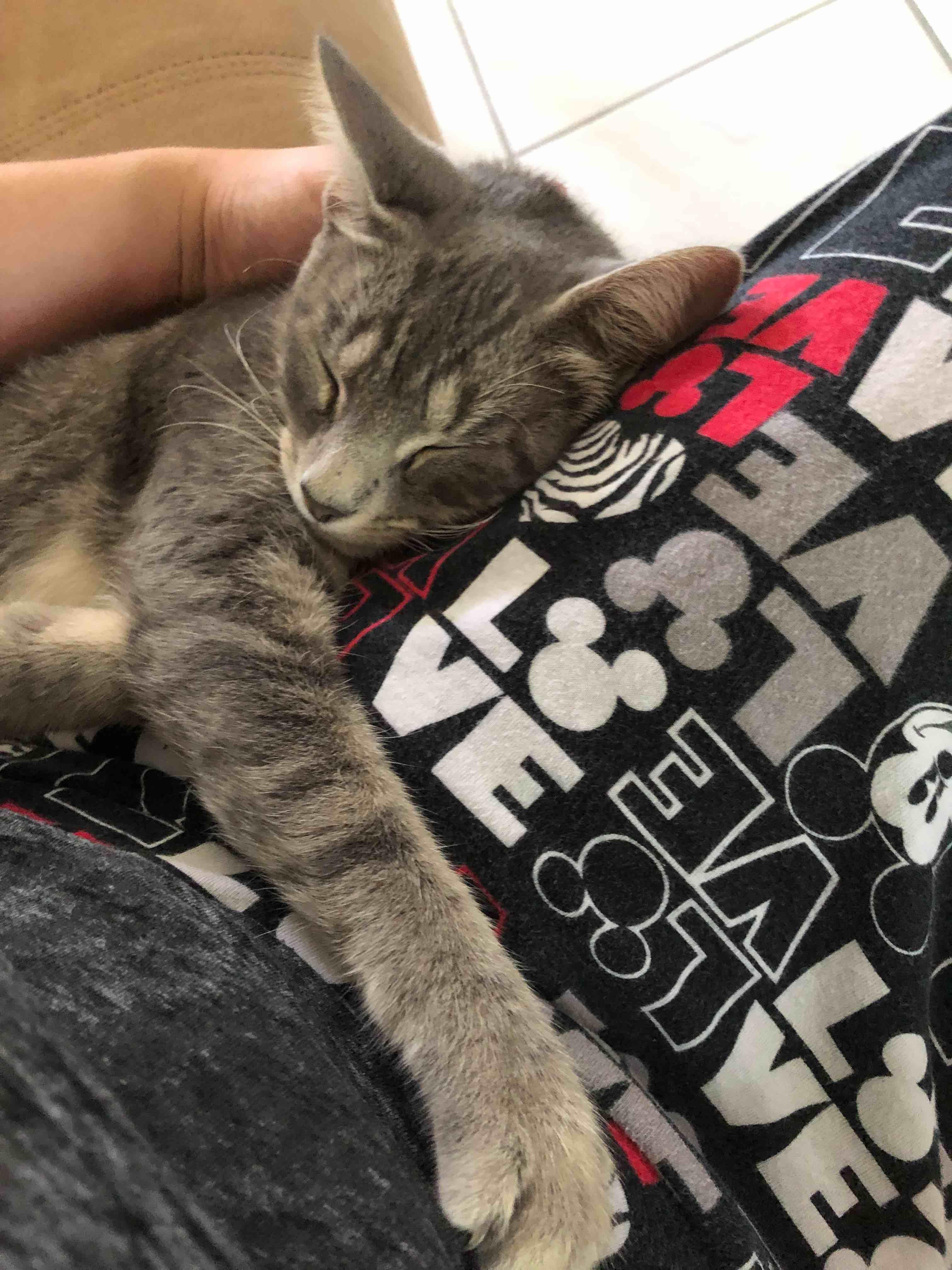 Question details sensitive content