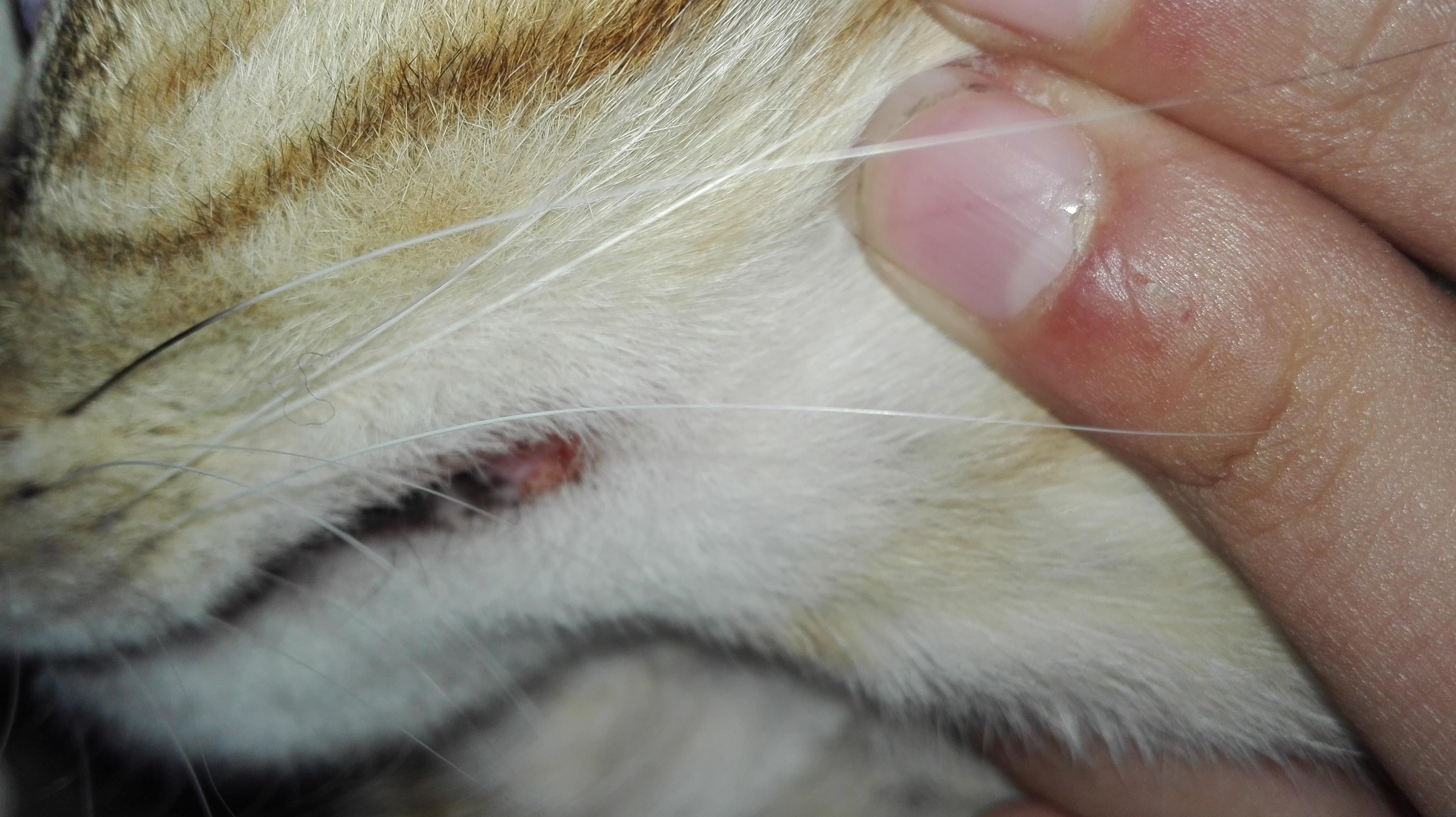 Question details sensitive content