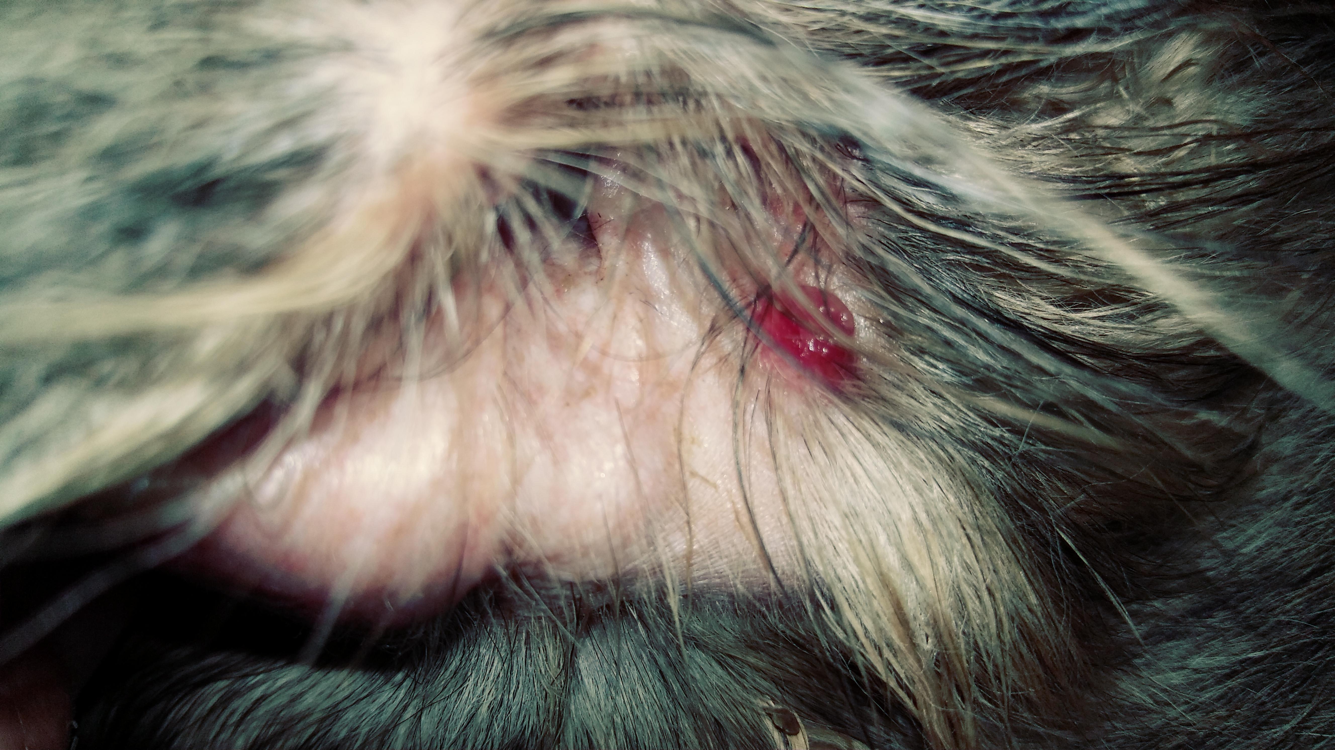 Question details sensitive content