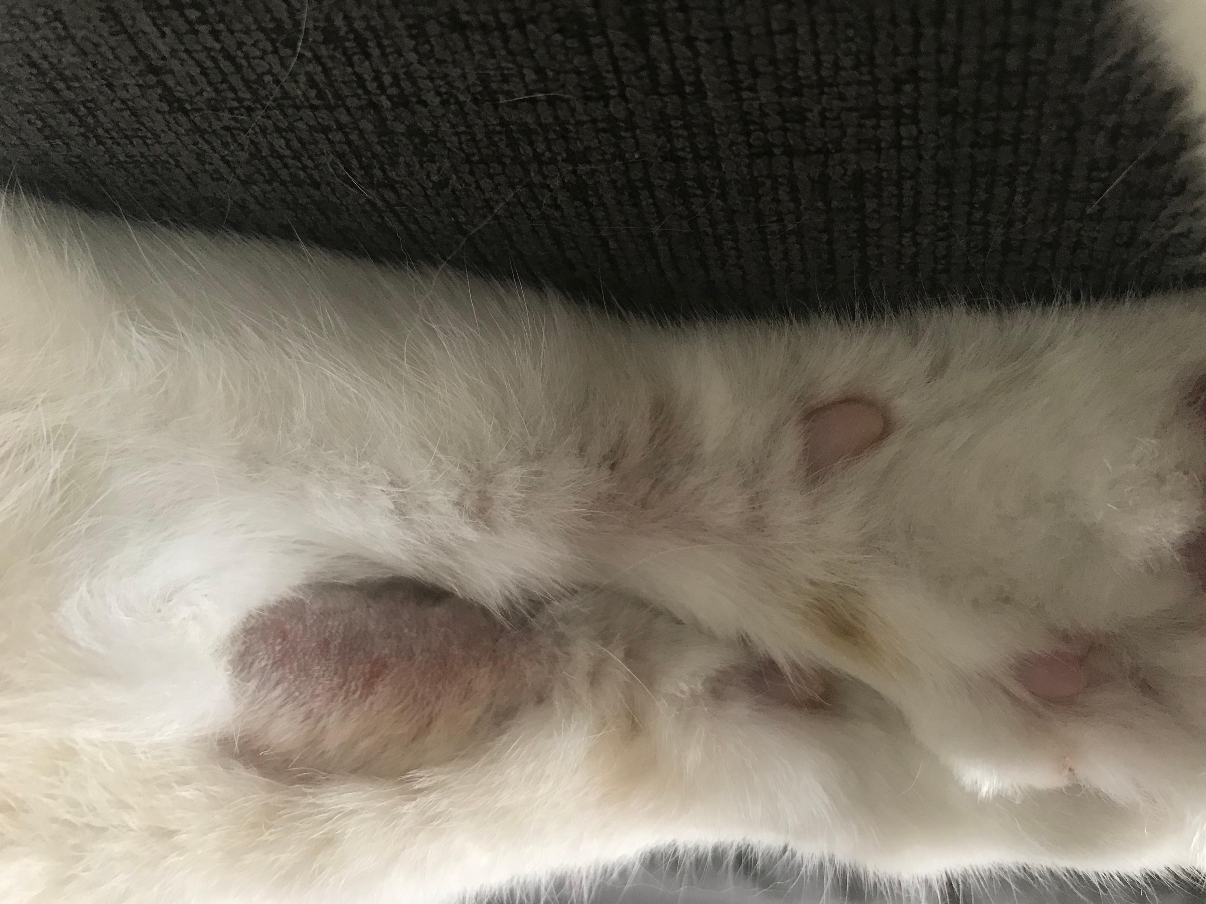 Question details sensitive content