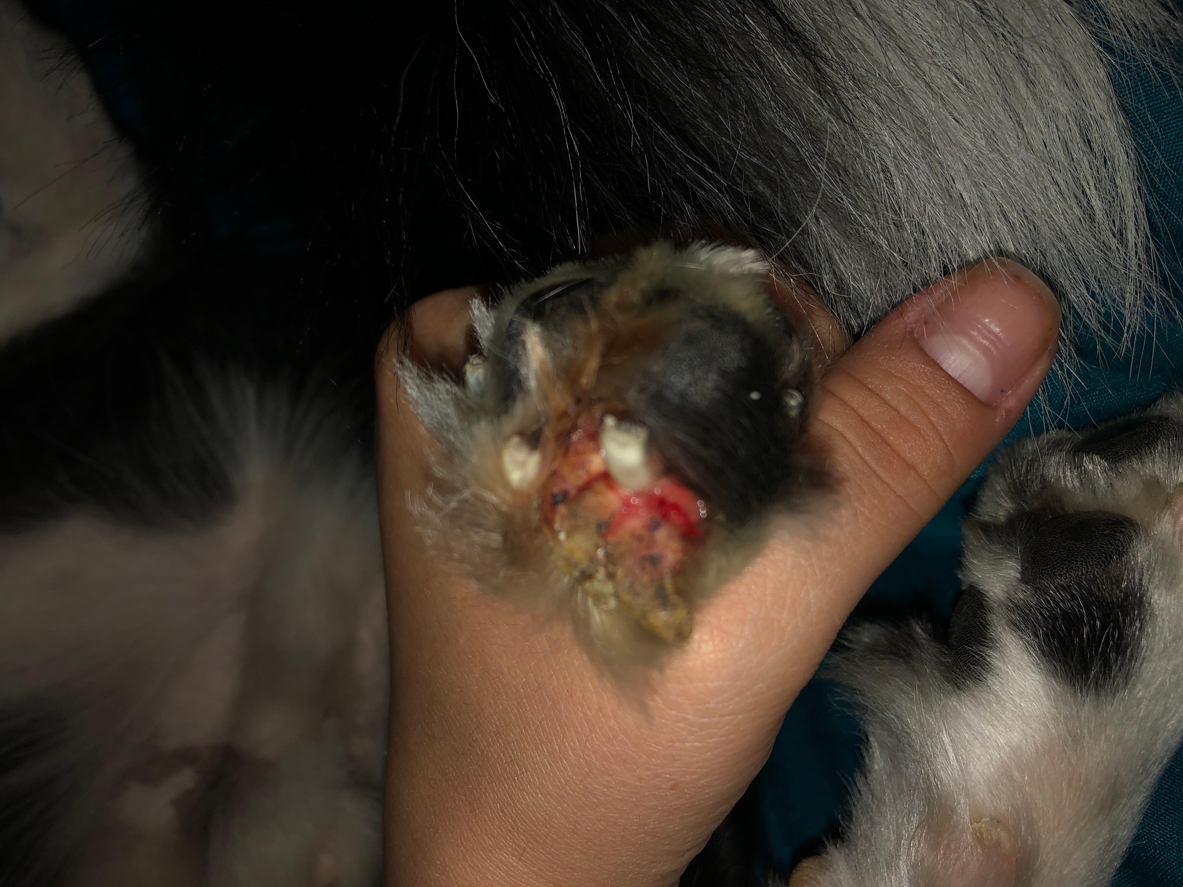 Question details sensitive content