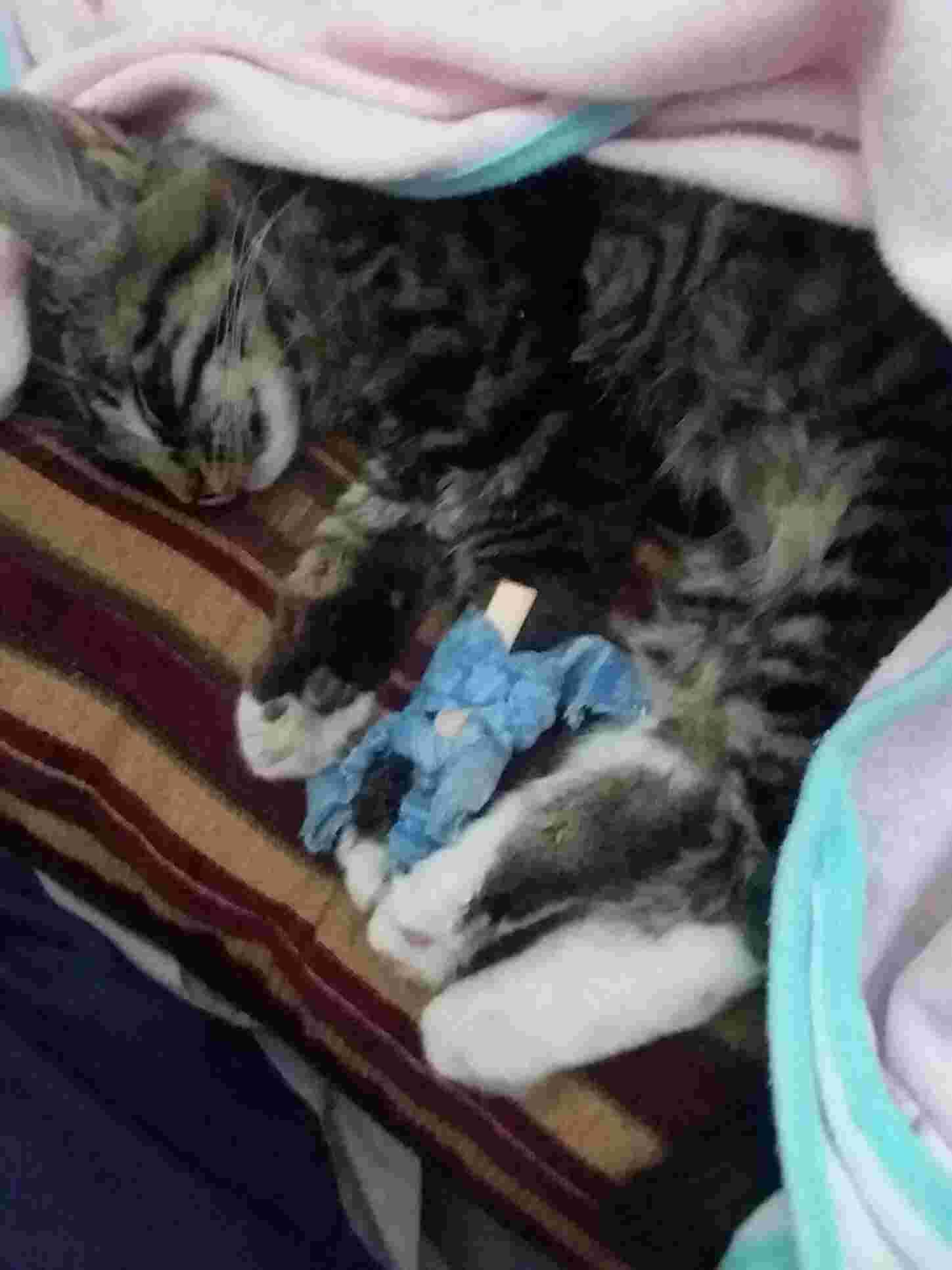 Question details sensitive content