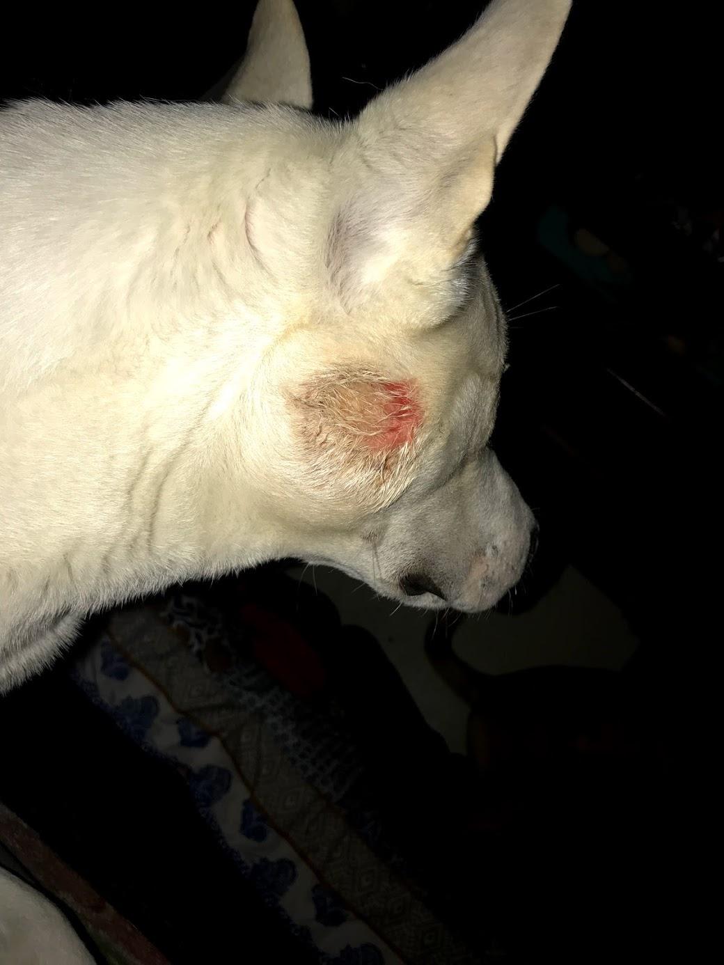 Question details sensitive content