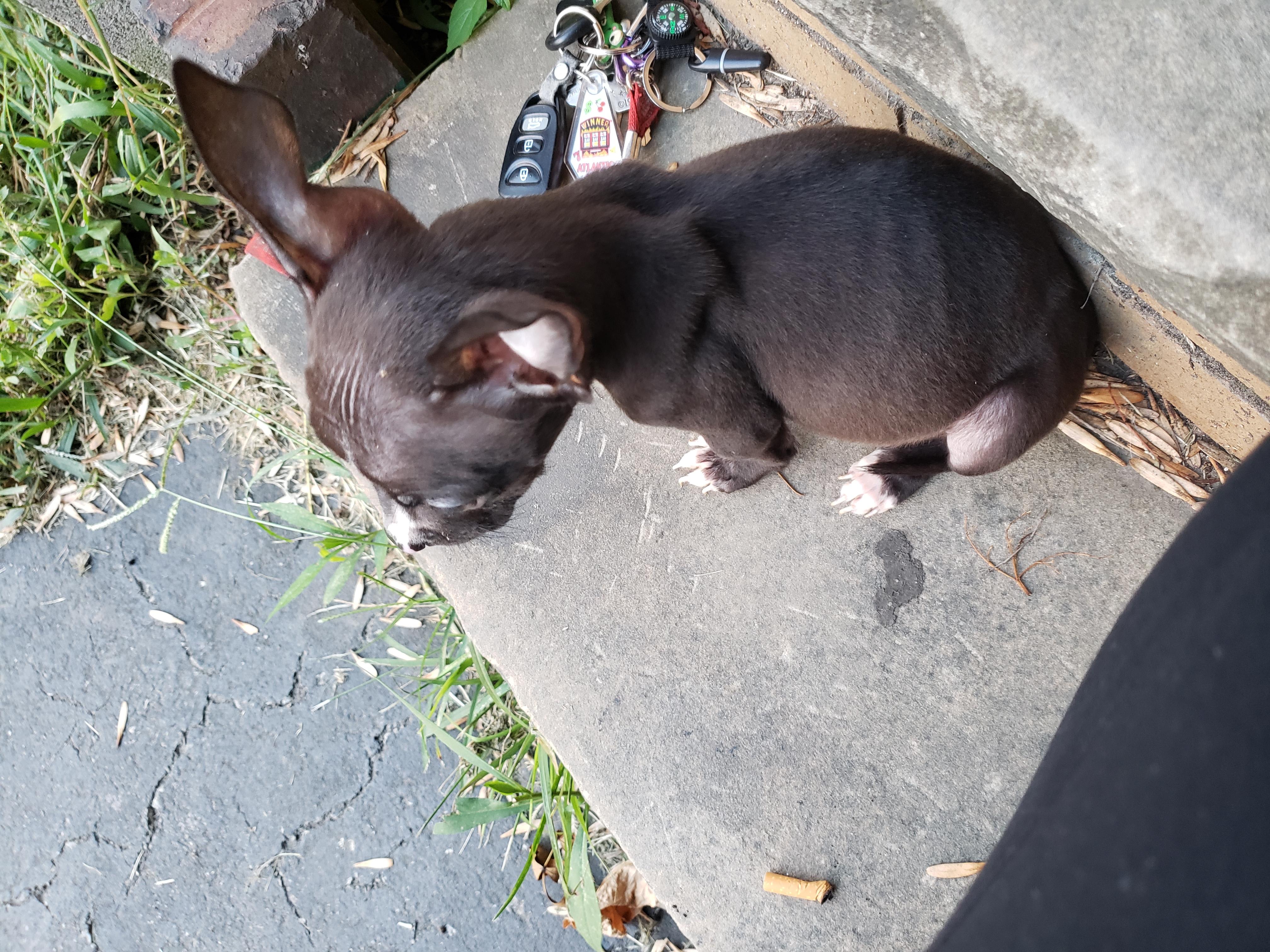 Question details sensitive content