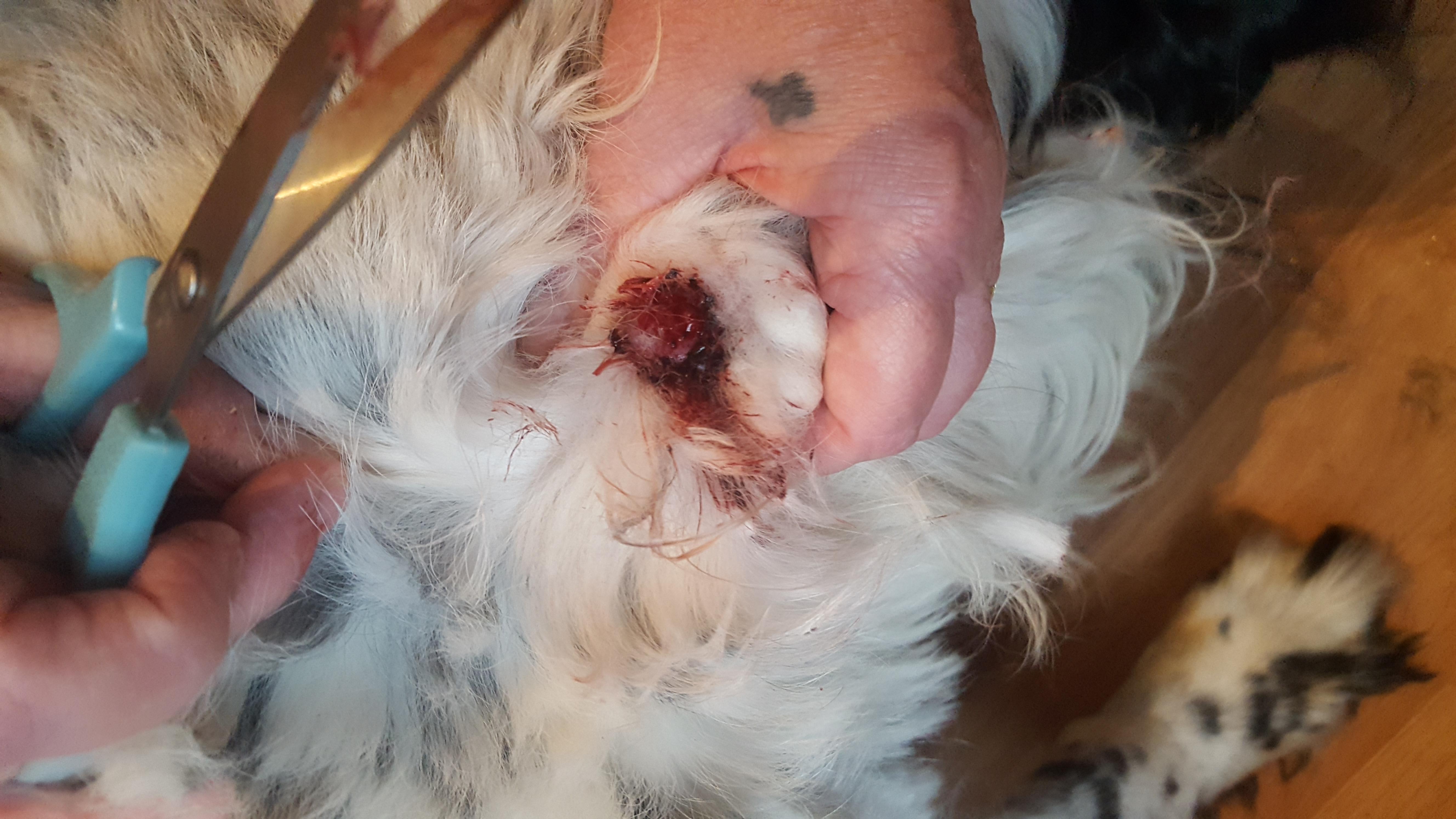 Question details sensitive content