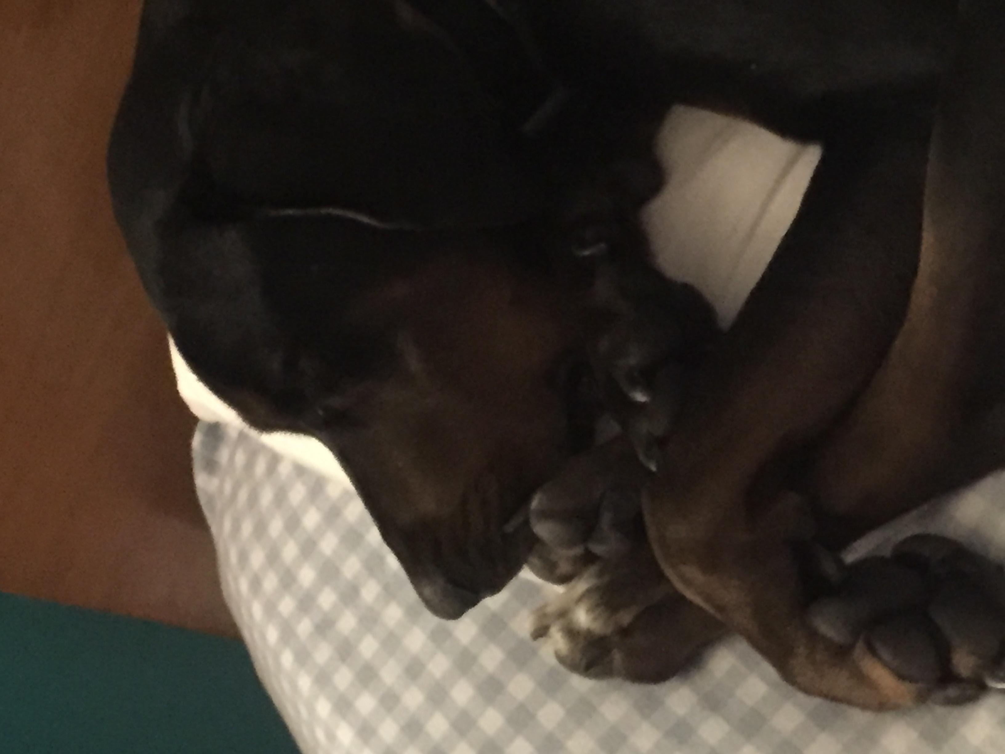 Question details sensitive content